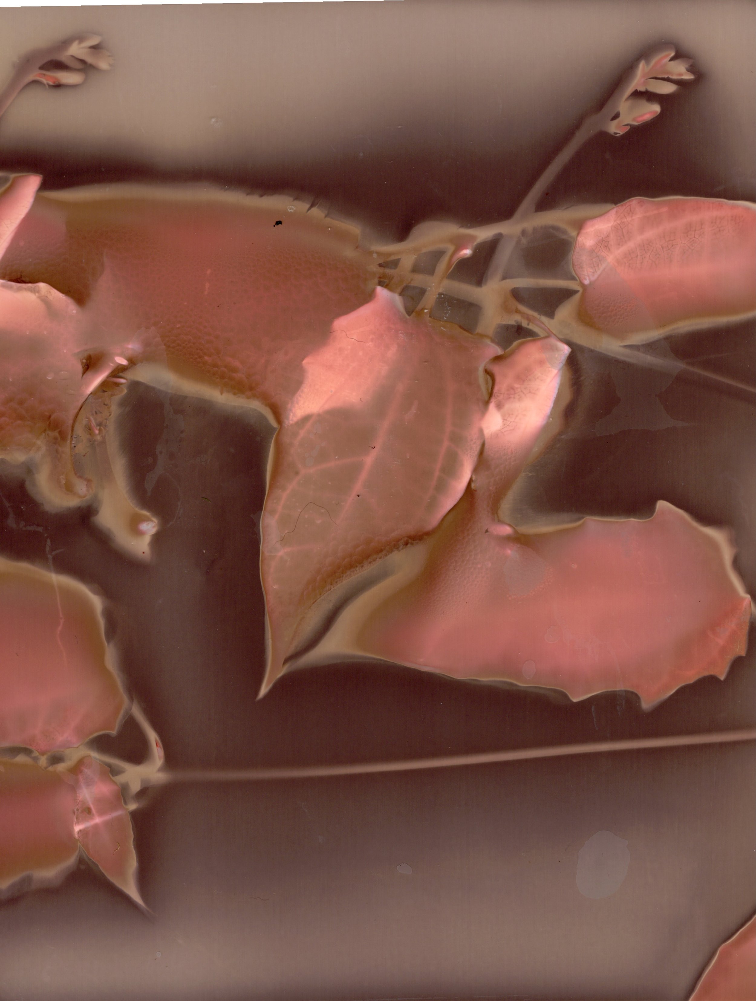 Across Multiple Papers - 7 of 10.jpeg