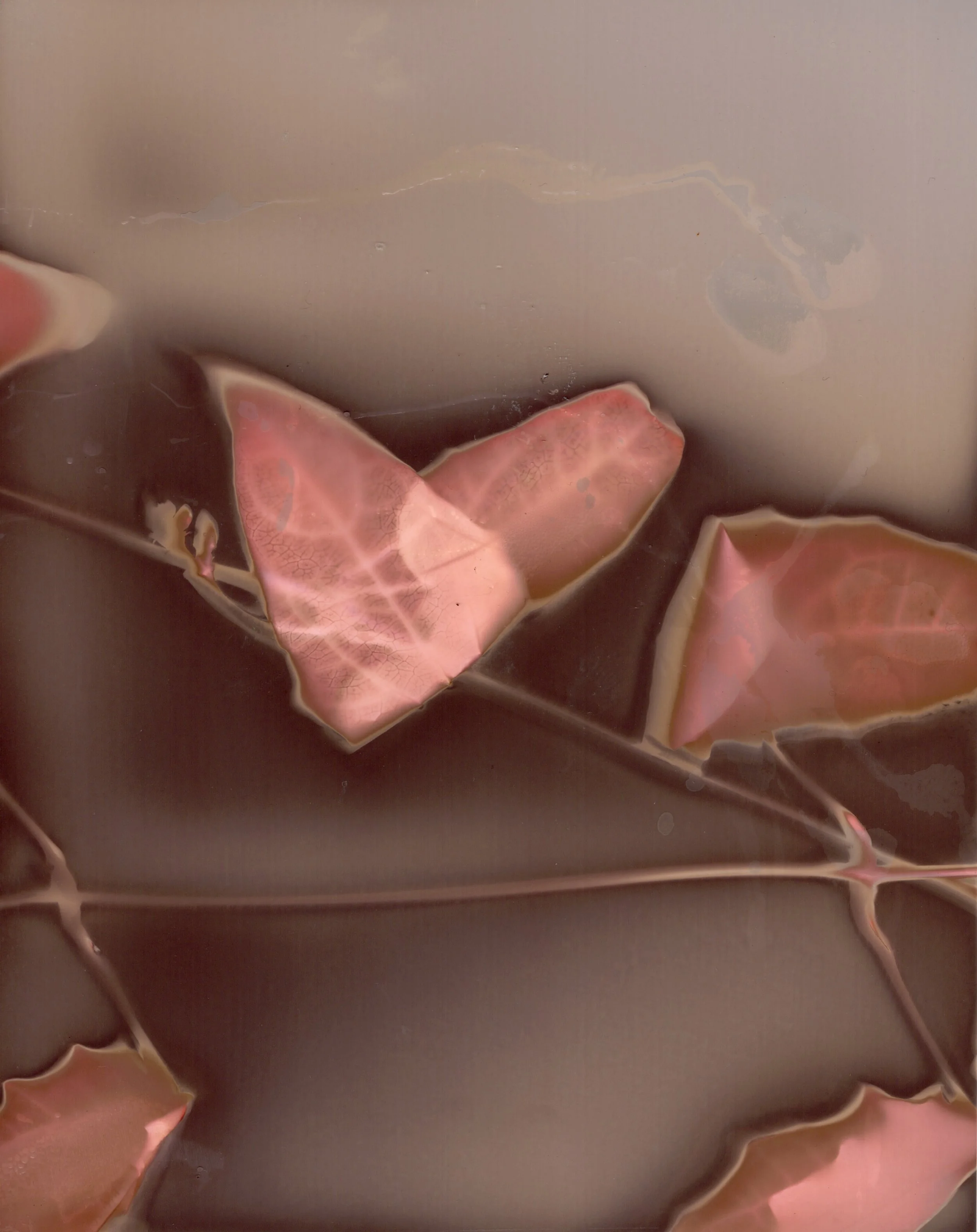 Across Multiple Papers - 8 of 10.jpeg