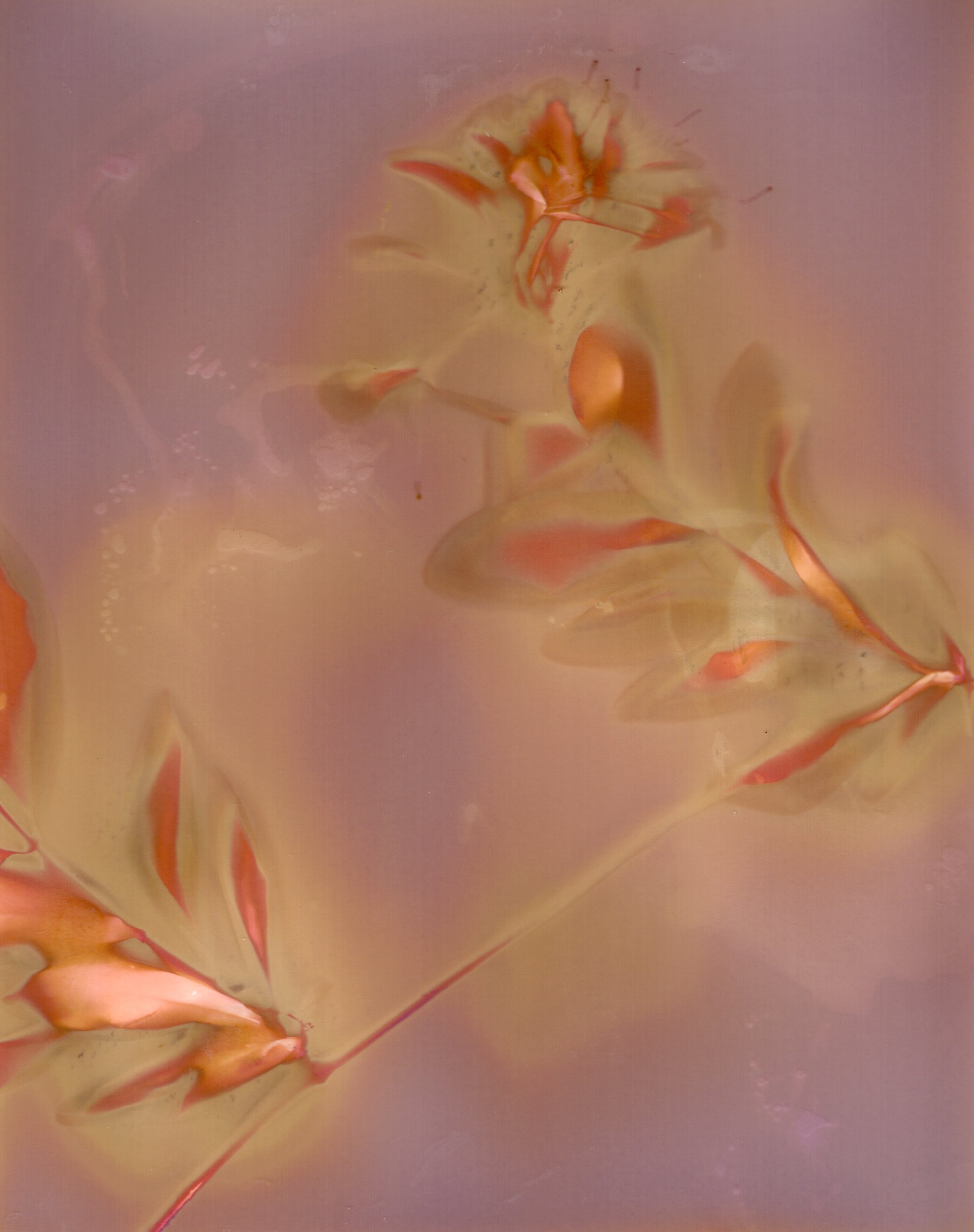 Across Multiple Papers - 9 of 10.jpeg