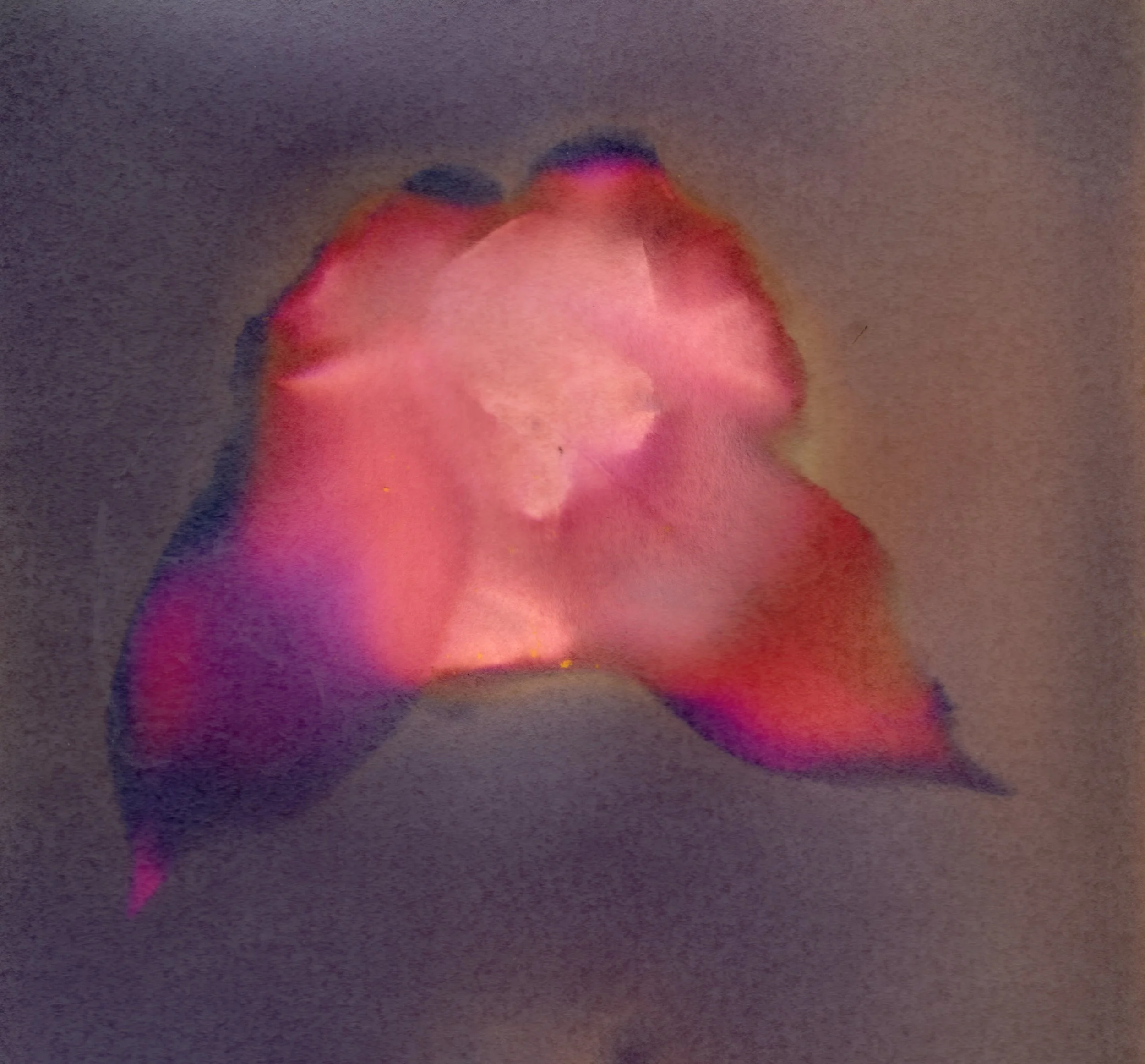 Dowell's Favorites - 1 of 7.jpeg