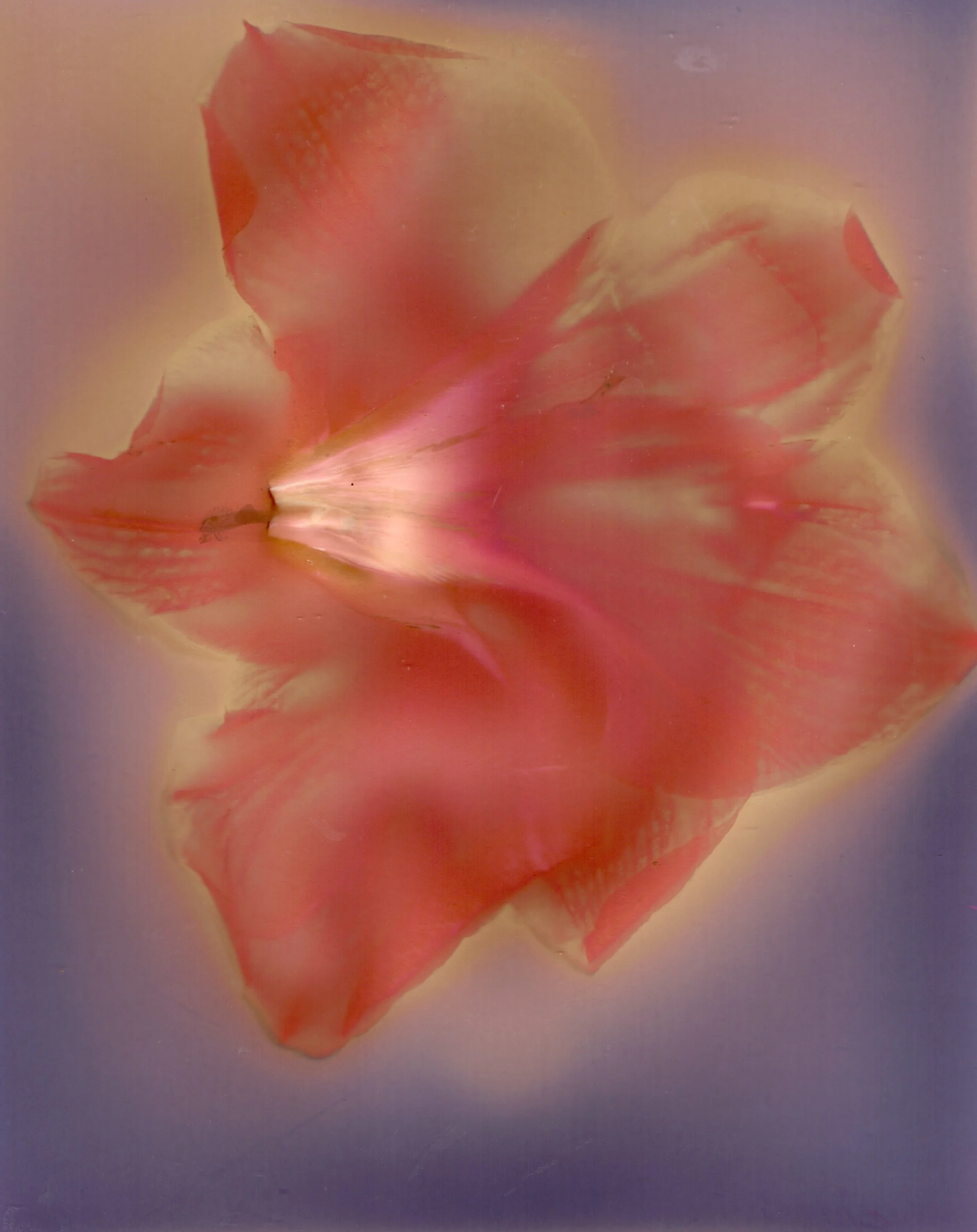 Dowell's Favorites - 3 of 7.jpeg