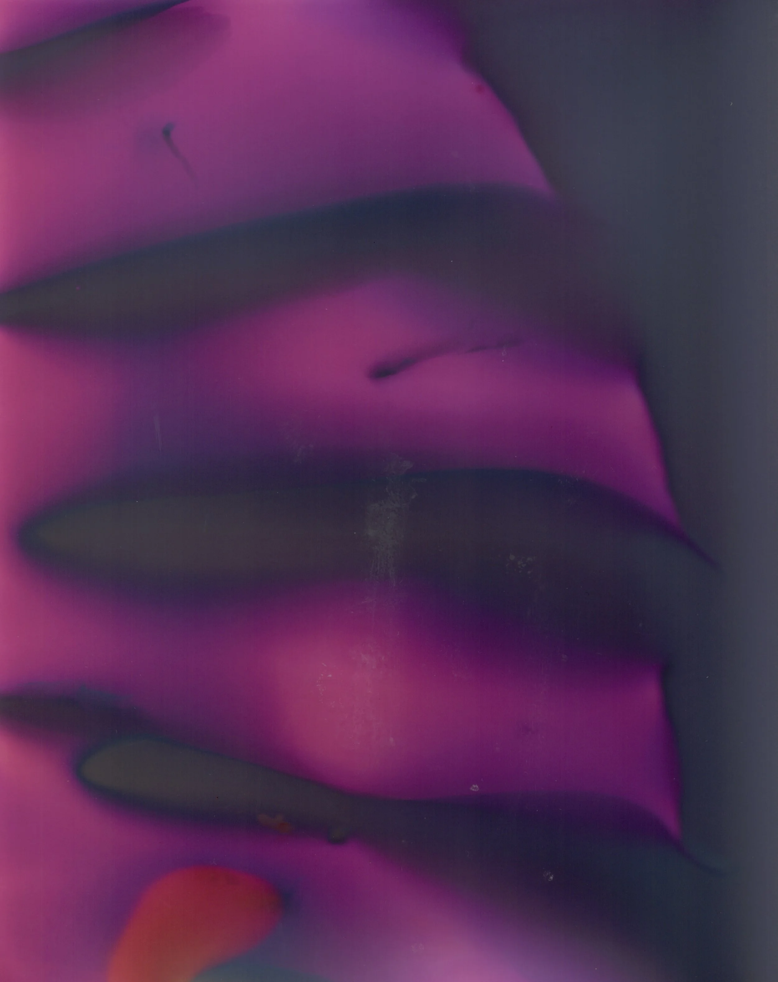 Dowell's Favorites - 4 of 7.jpeg