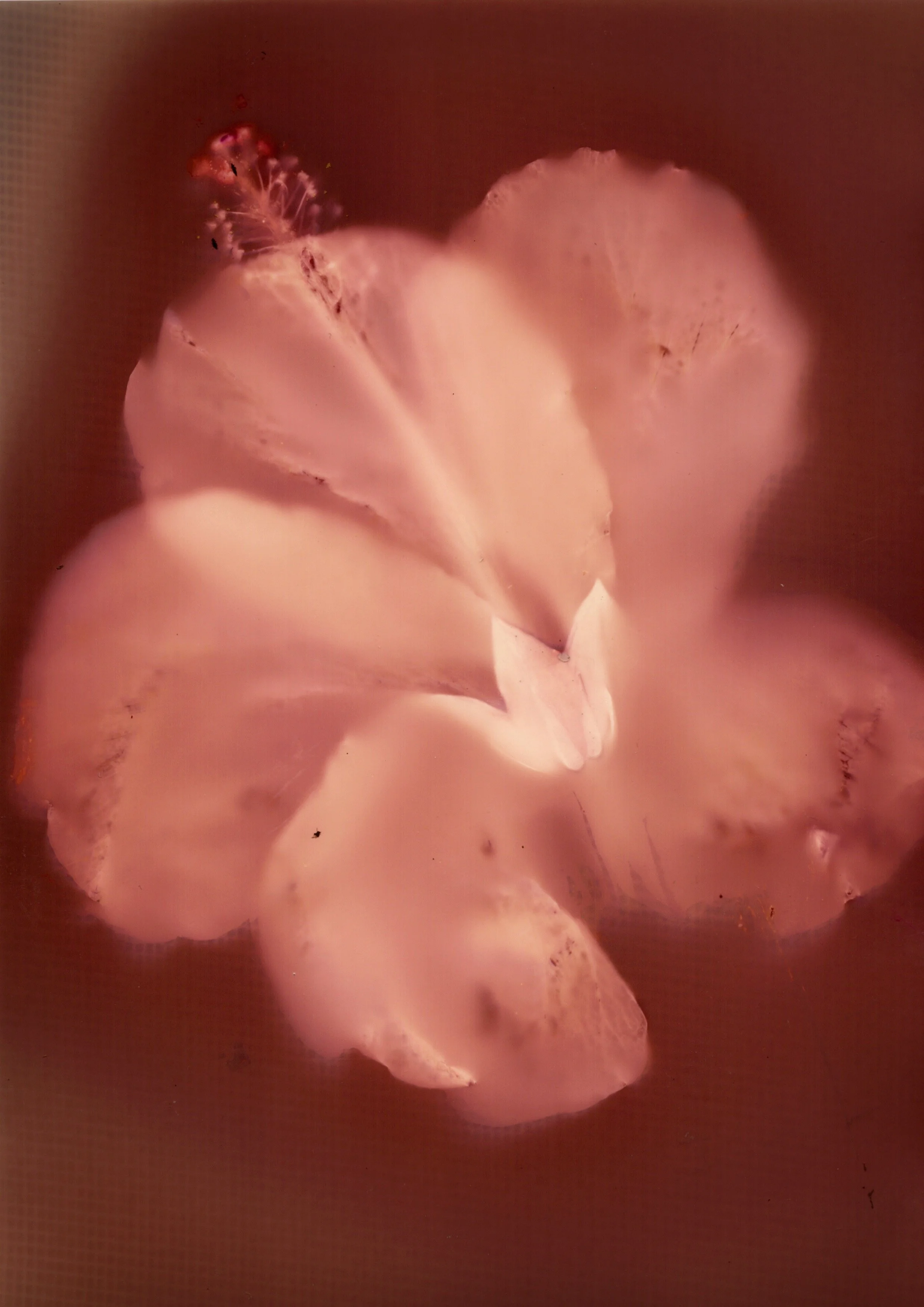 Dowell's Favorites - 5 of 7.jpeg