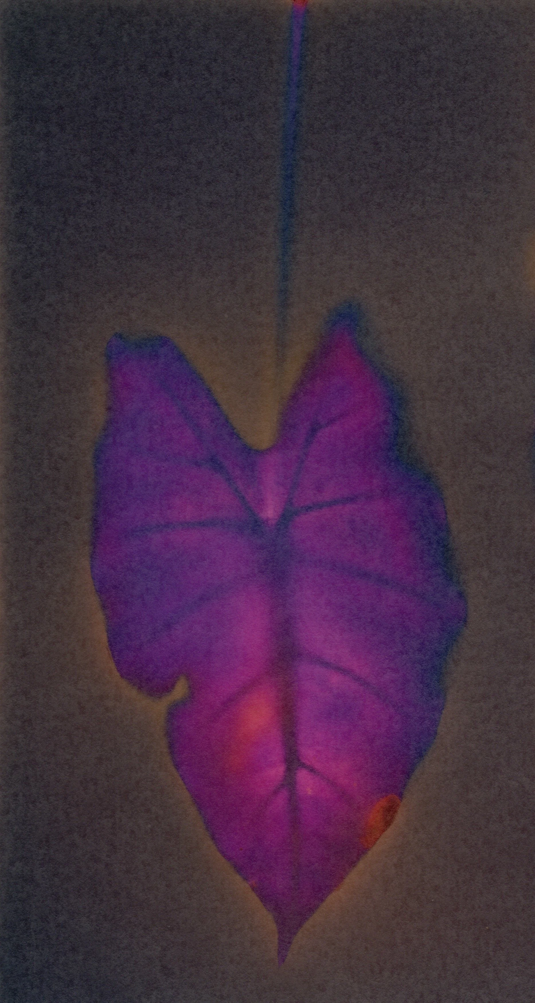 Ilford Art 300 - 1 of 1 (2).jpeg