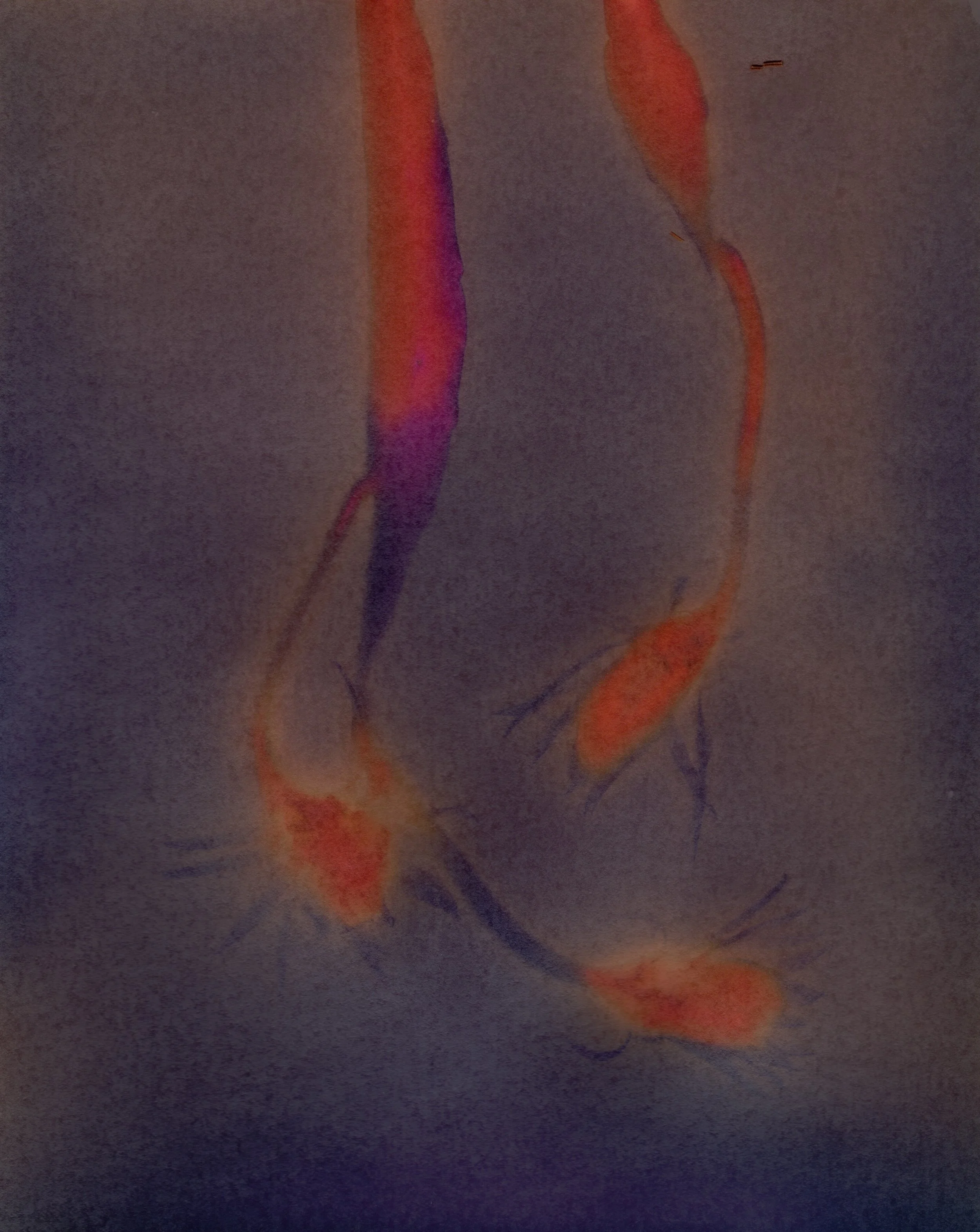 Ilford Art 300 - 1 of 1.jpeg