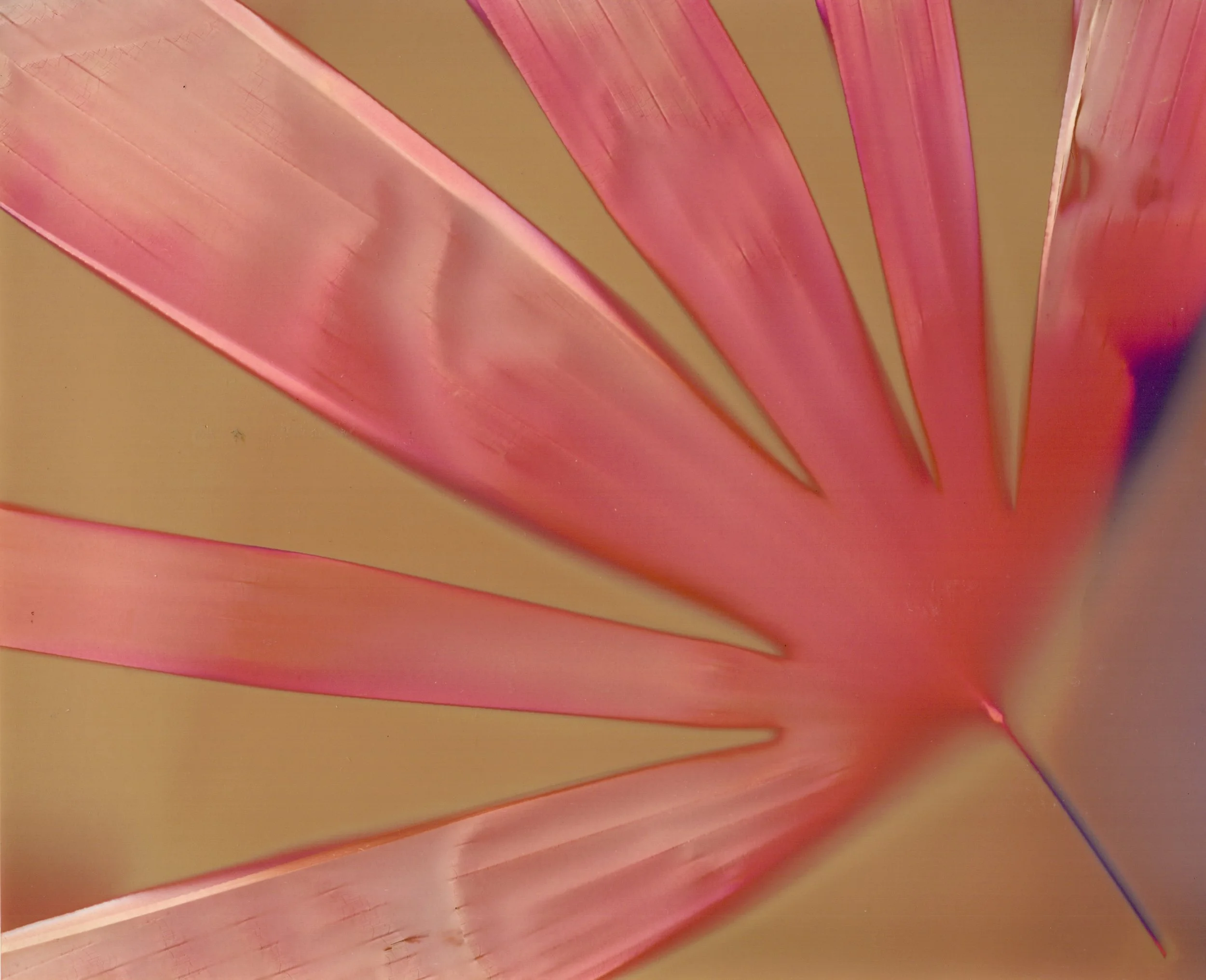 Ilford Multigrade FB Warmtone Semi- Matt - 1 of 1.jpeg