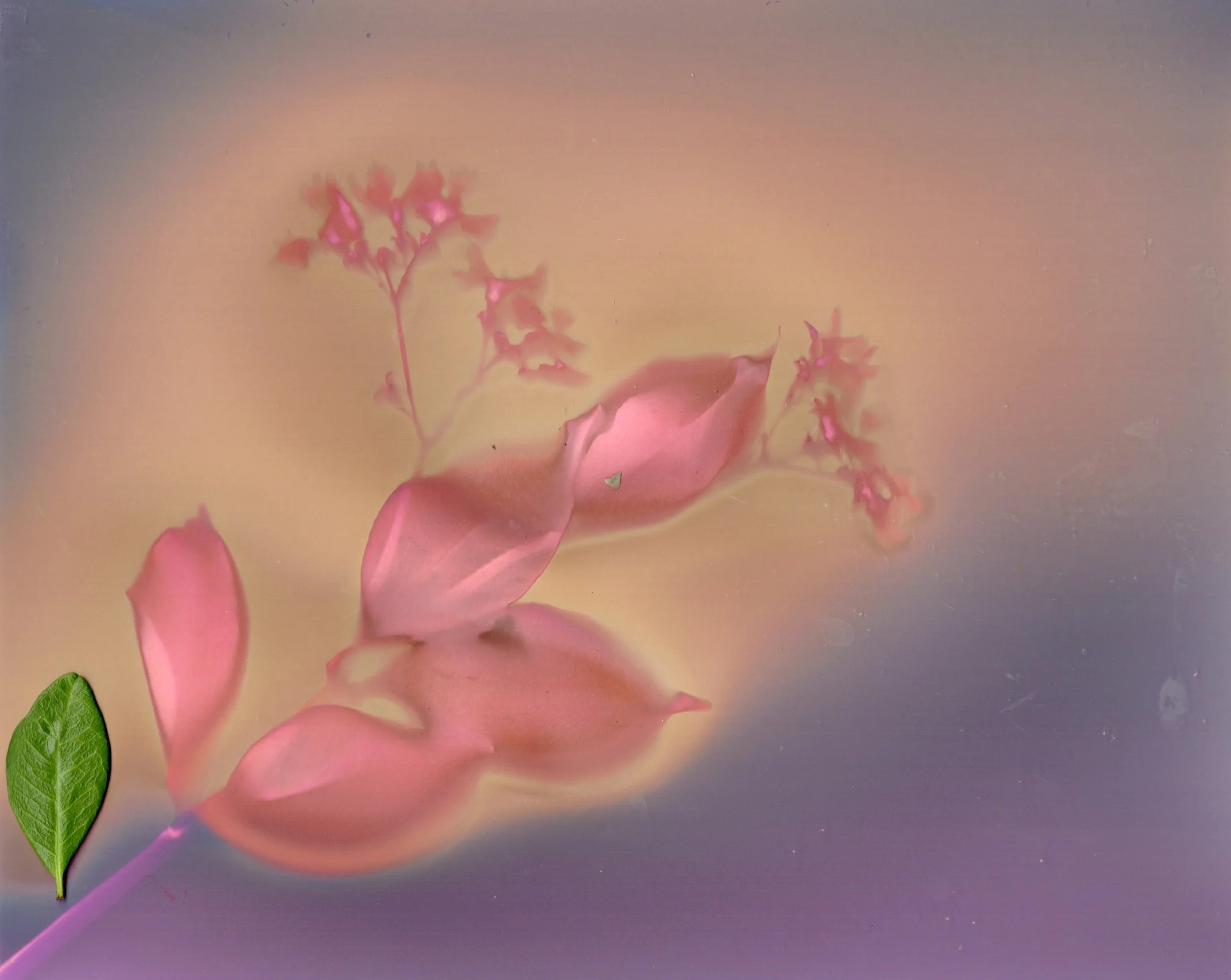 Ilford Multigrade FB Warmtone Semi- Matt - 2 of 2.jpeg