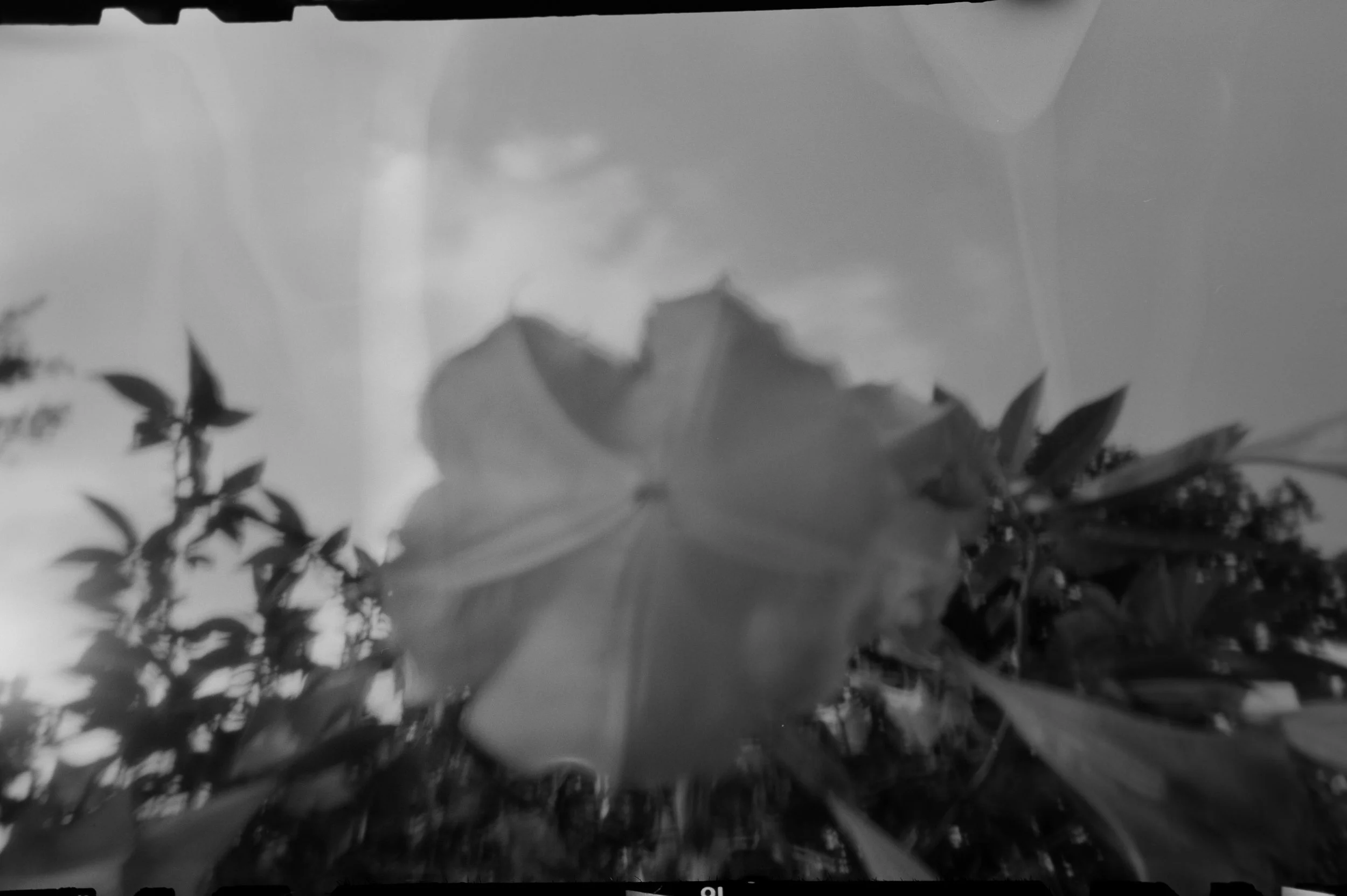 20190225-KMB_6533-34.jpeg