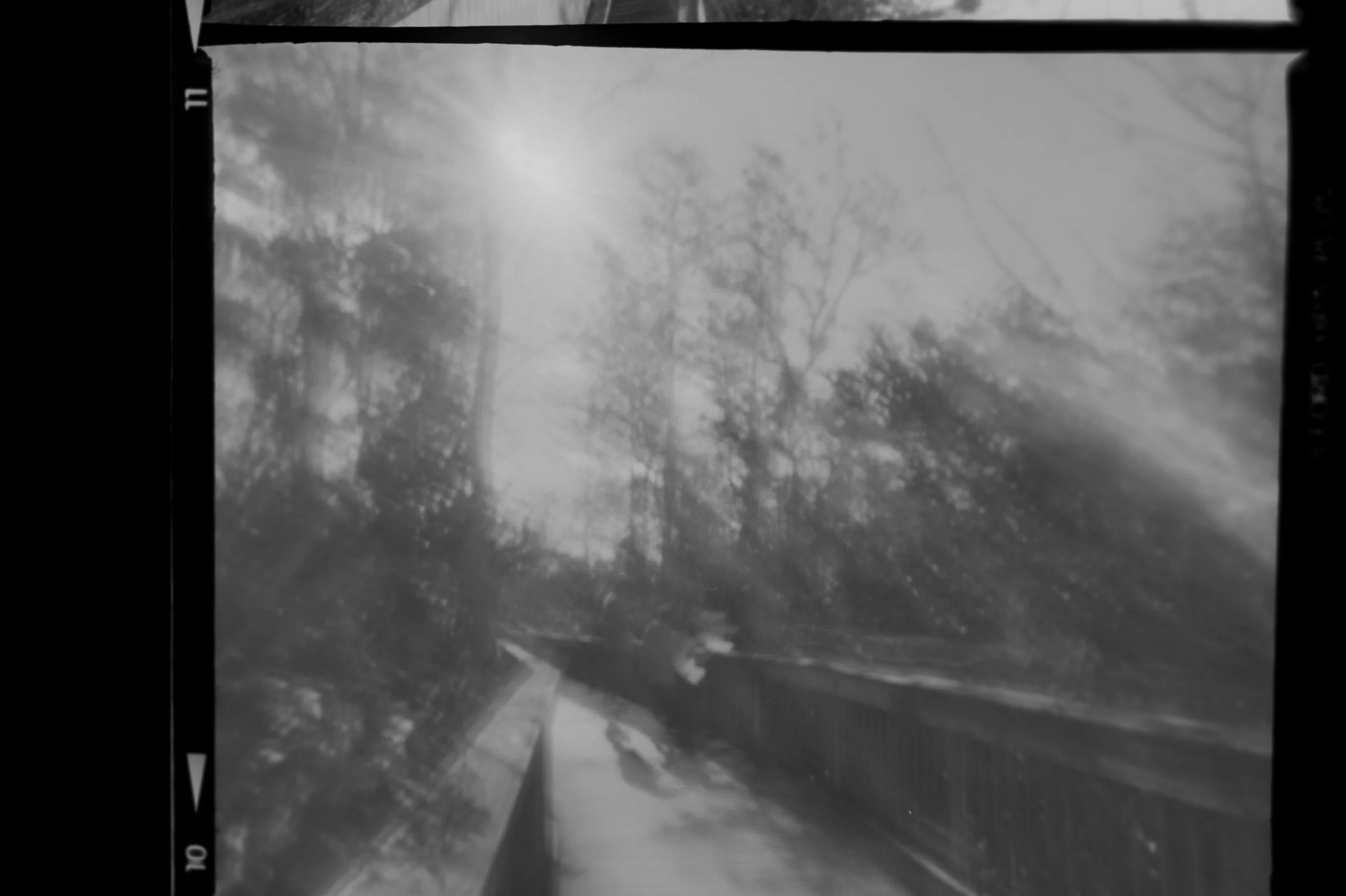 20190225-KMB_6506-7.jpeg