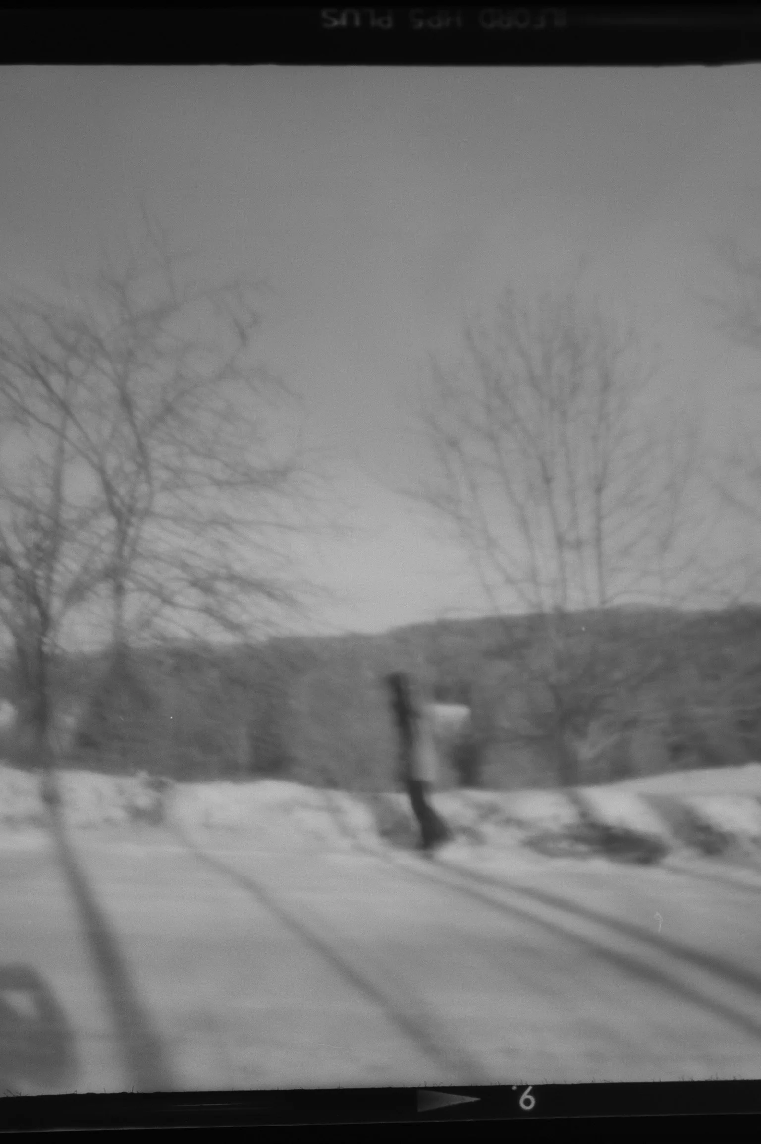 20190225-KMB_6560-61.jpeg