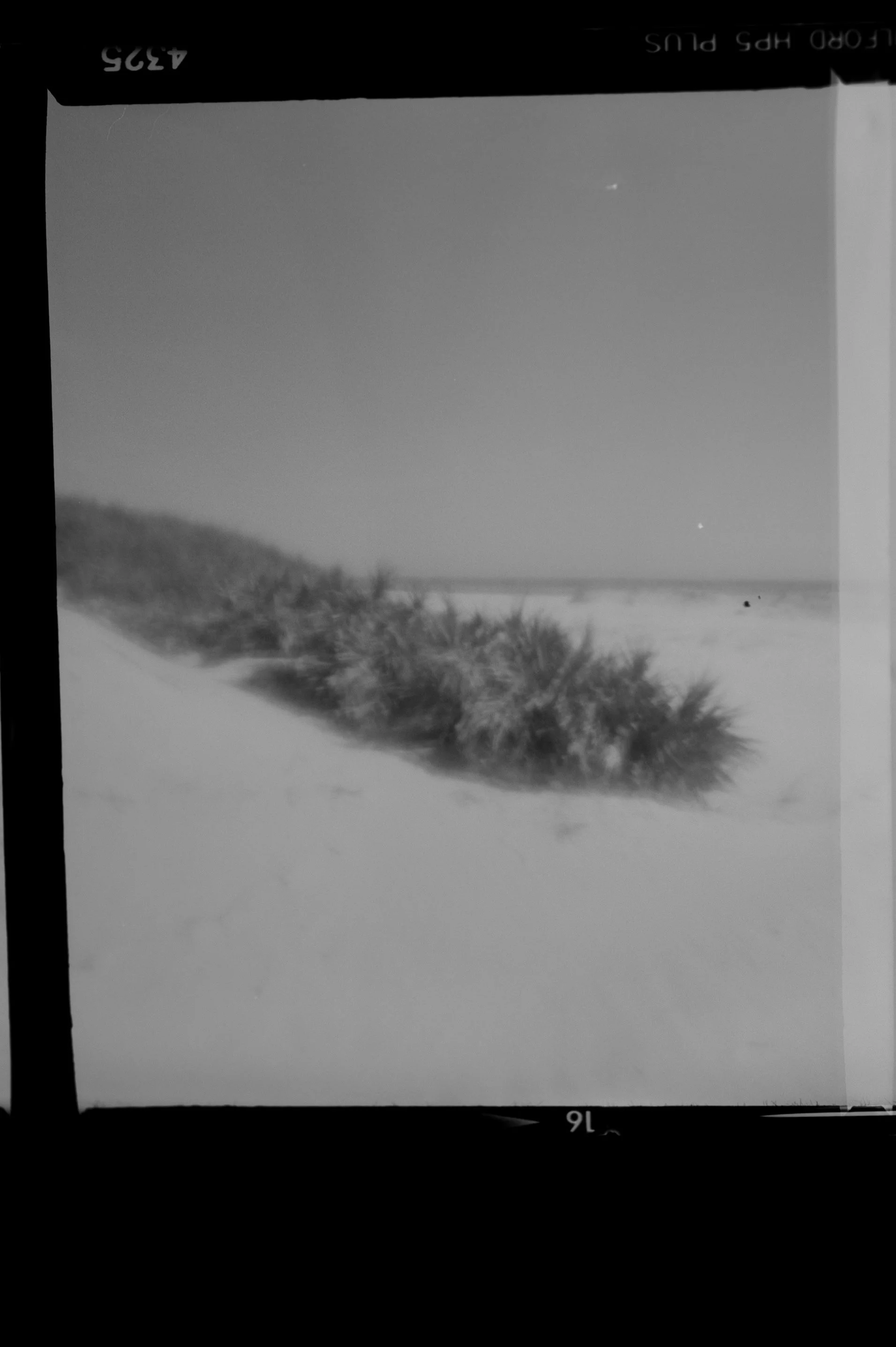 20190225-KMB_6543-44.jpeg