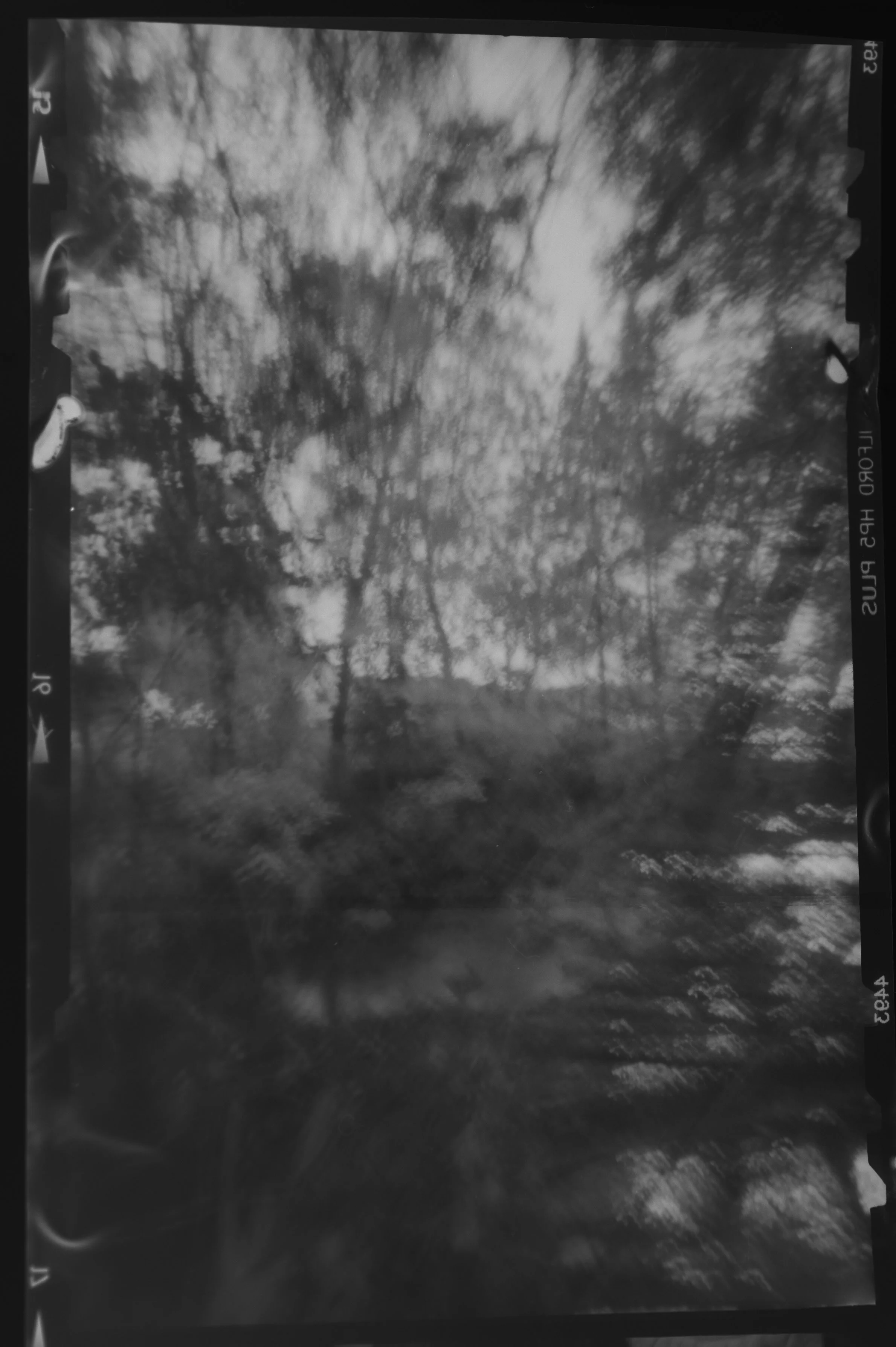 20190225-KMB_6523-24.jpeg