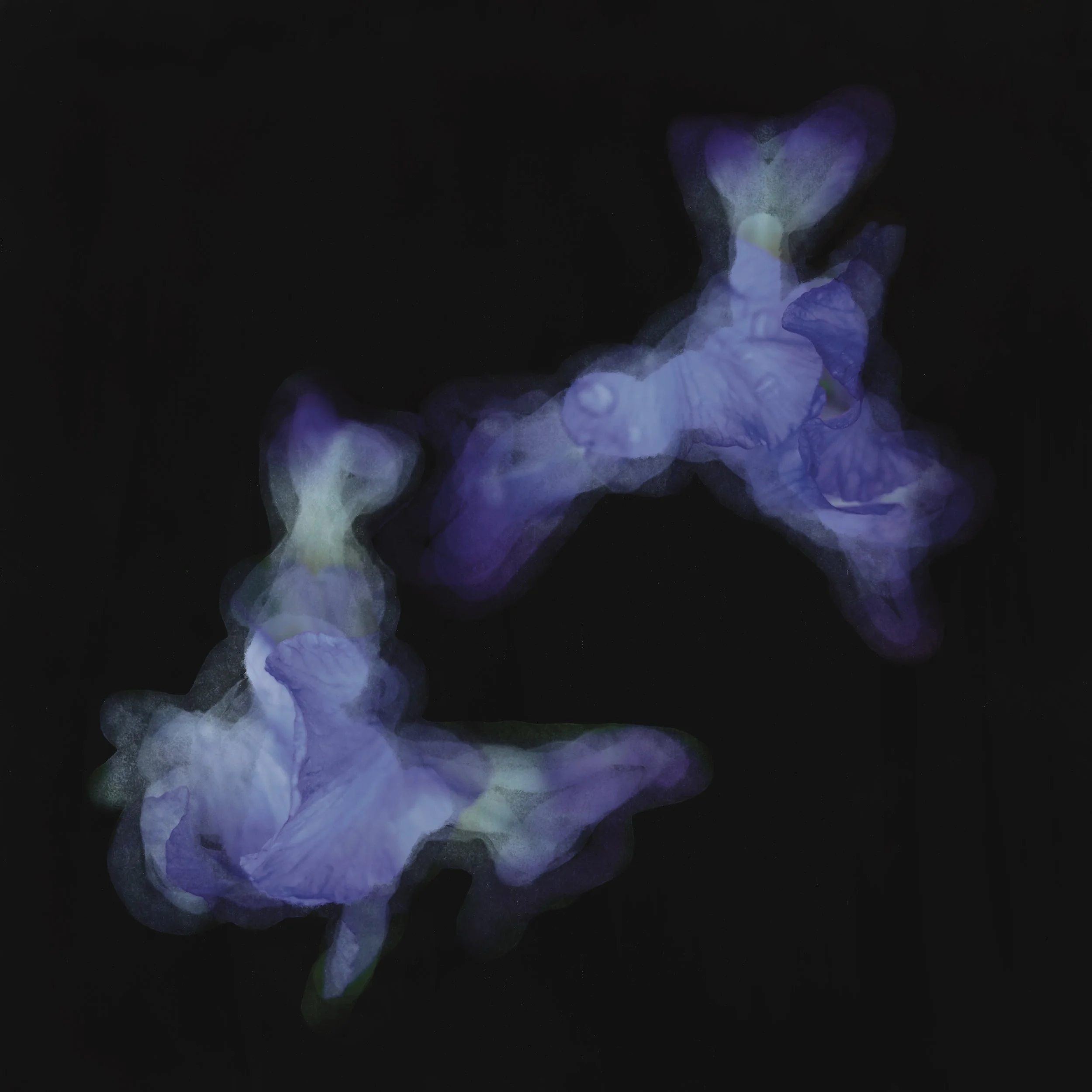 Untitled Artwork (10).jpeg