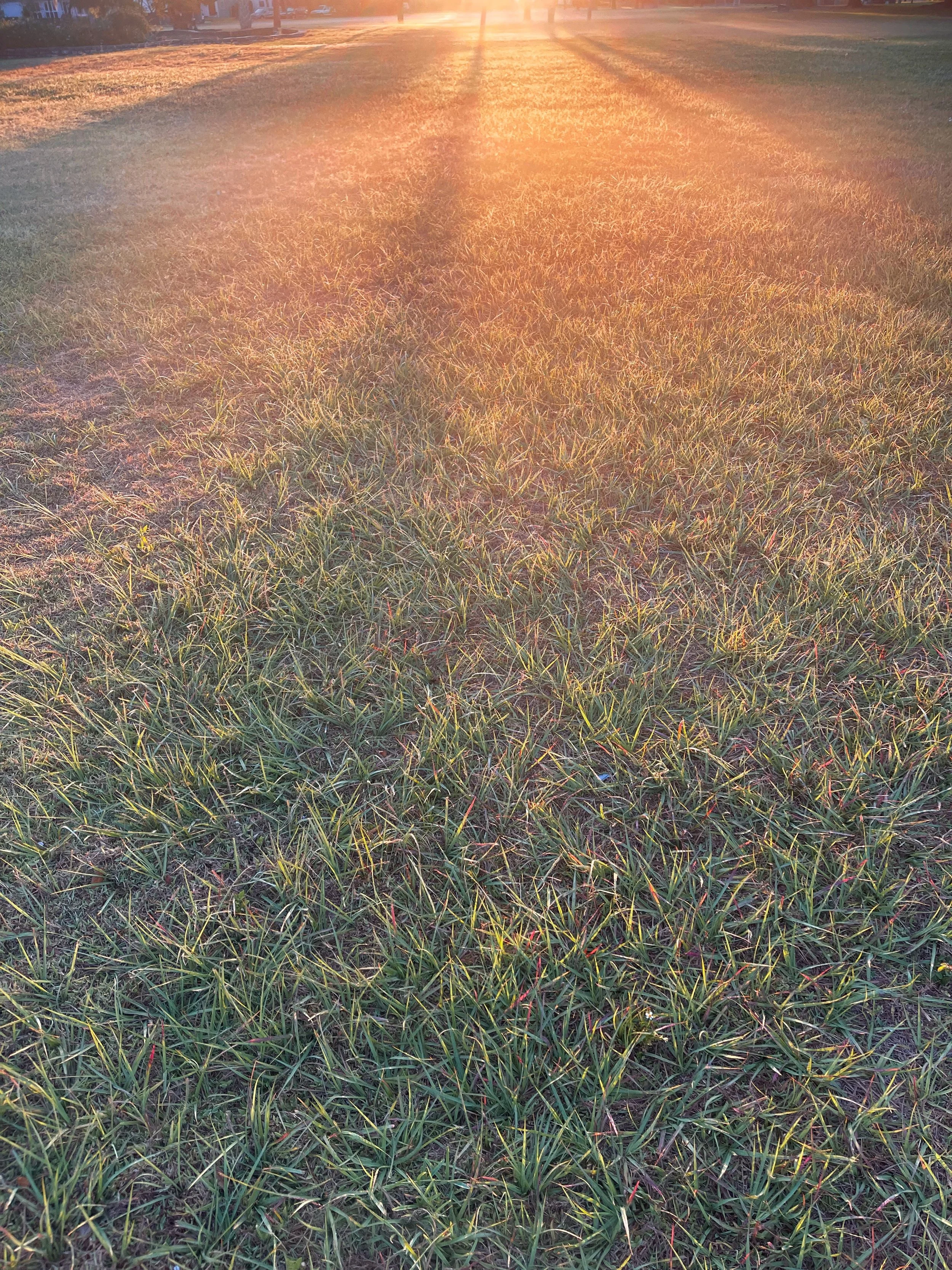 IMG_3790.jpeg
