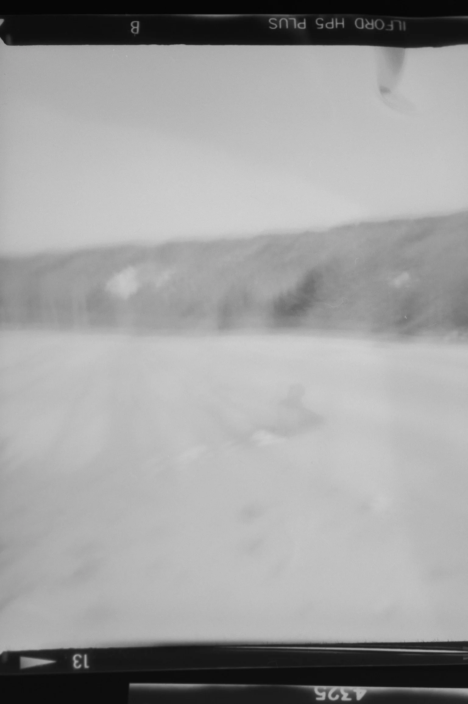 20190225-KMB_6567-68.jpeg