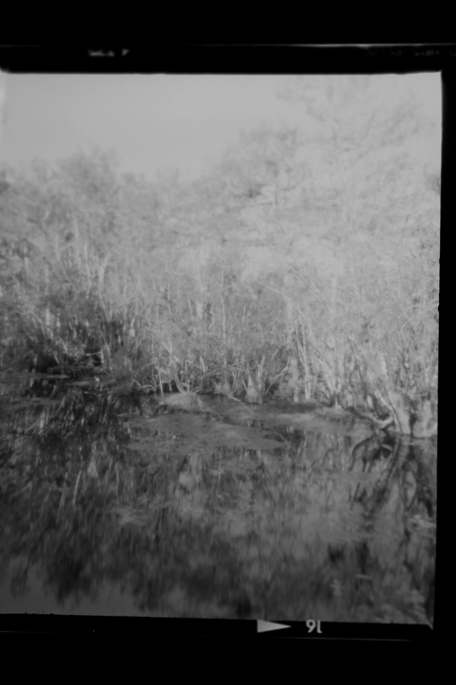 20190225-KMB_6509-10.jpeg