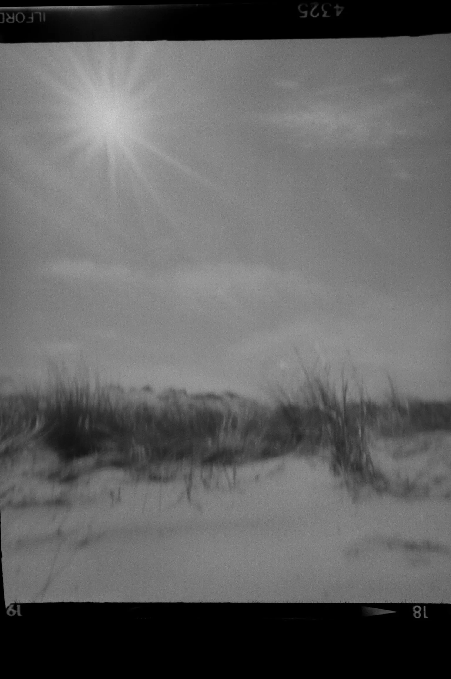20190225-KMB_6541-42.jpeg