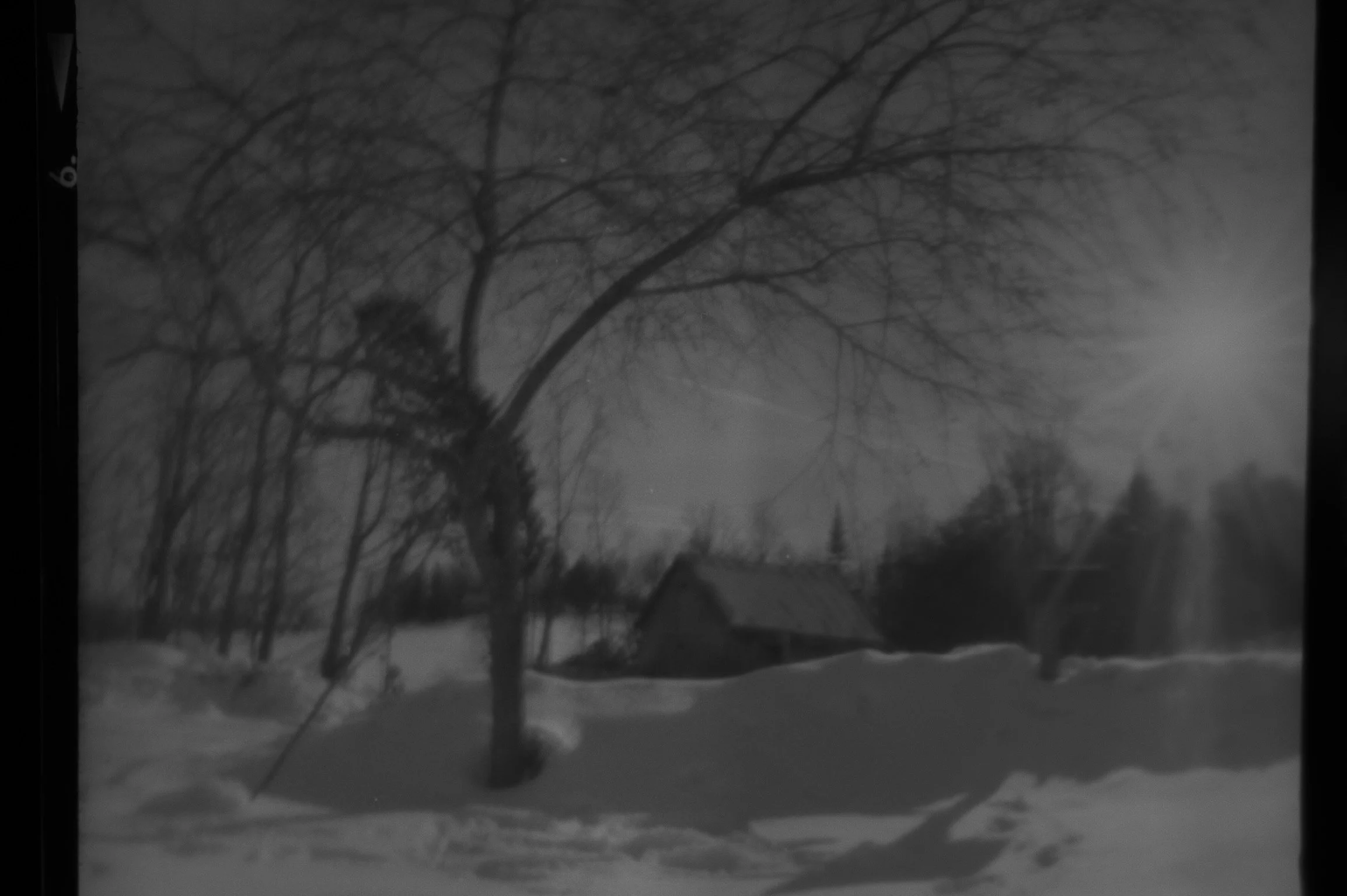 20190225-KMB_6557-58.jpeg