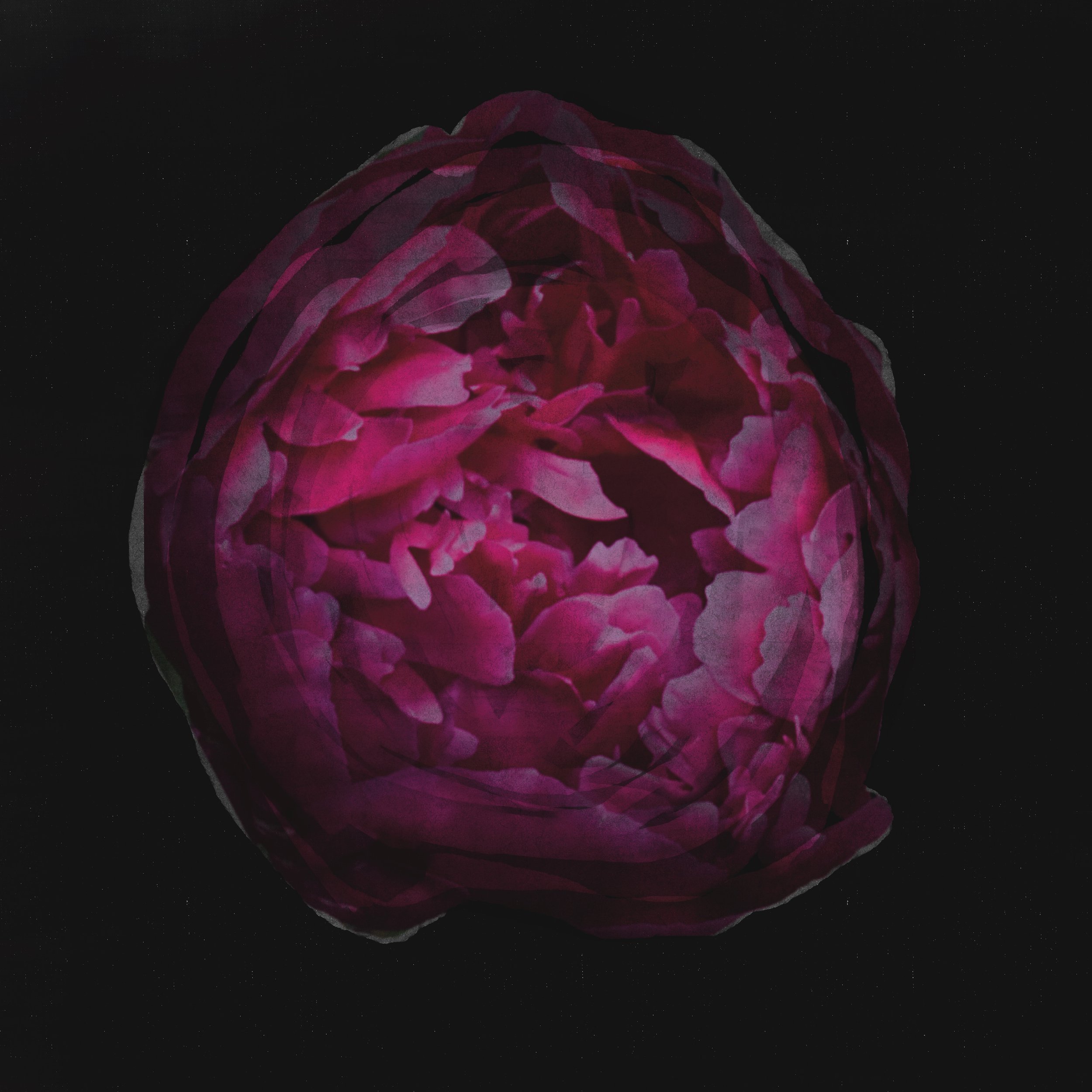 Untitled Artwork (11).jpeg