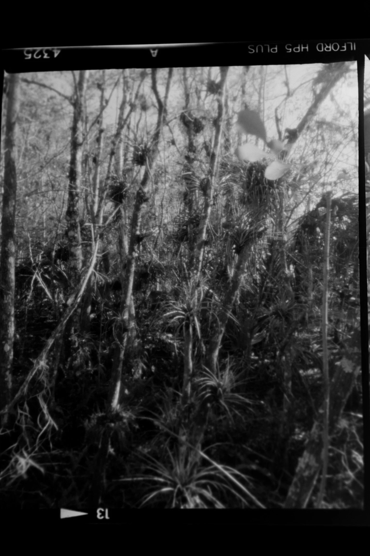 20190225-KMB_6507-8.jpeg
