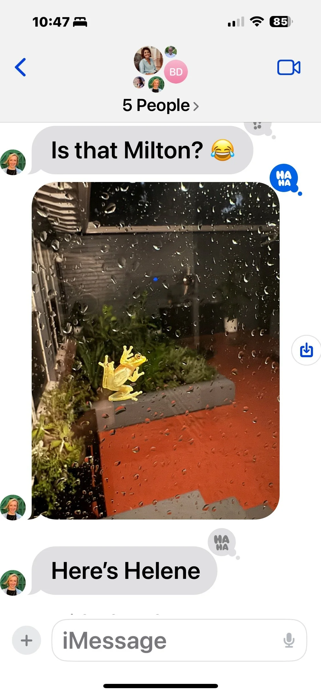 IMG_8989.jpeg
