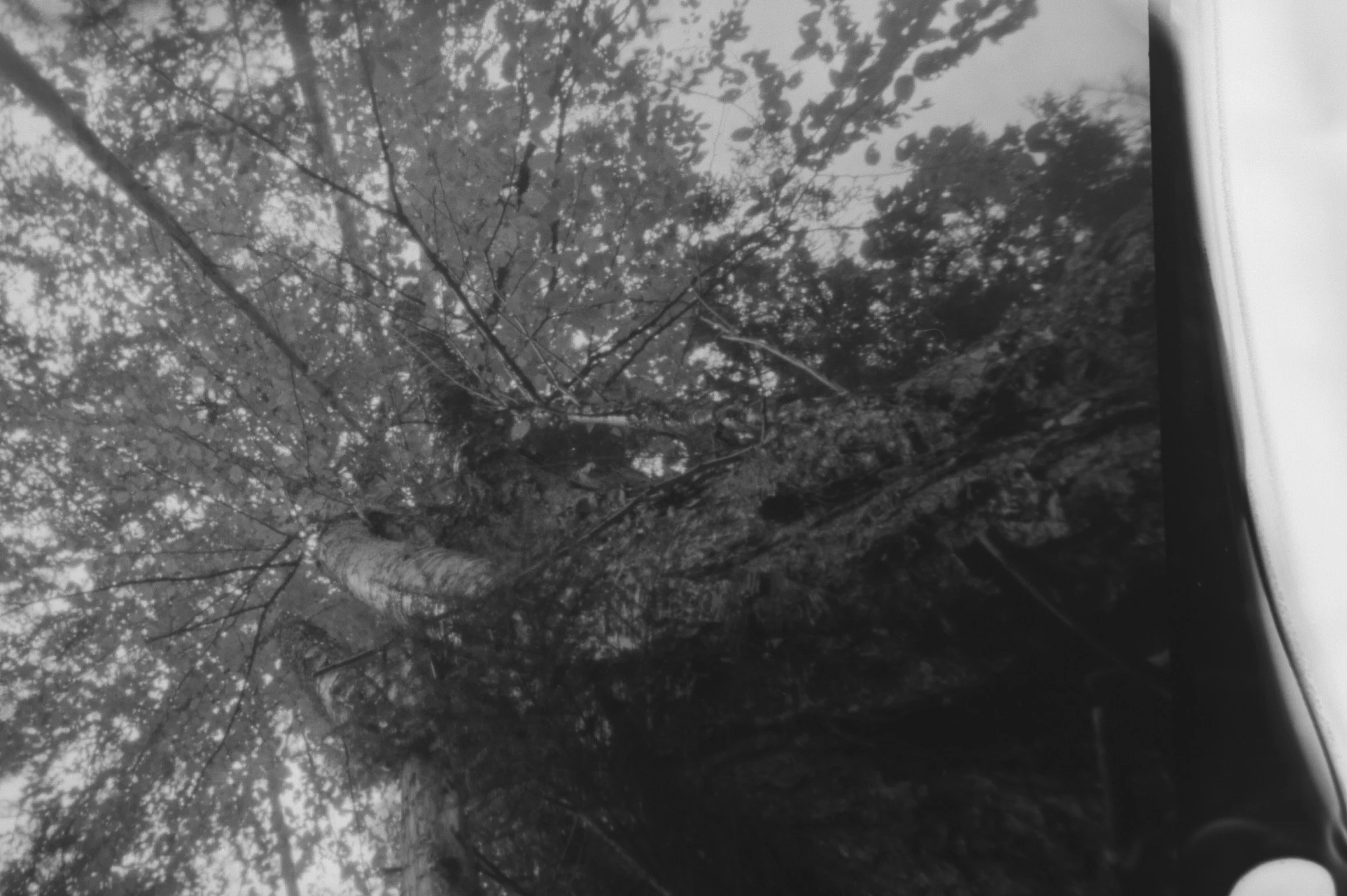 20190225-KMB_6520-21.jpeg