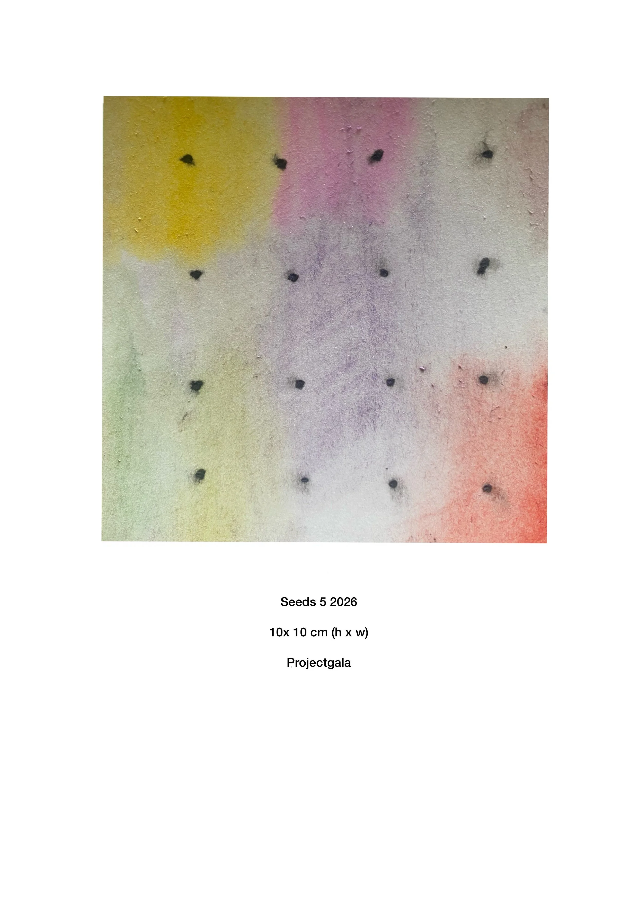 Seeds_5.jpg