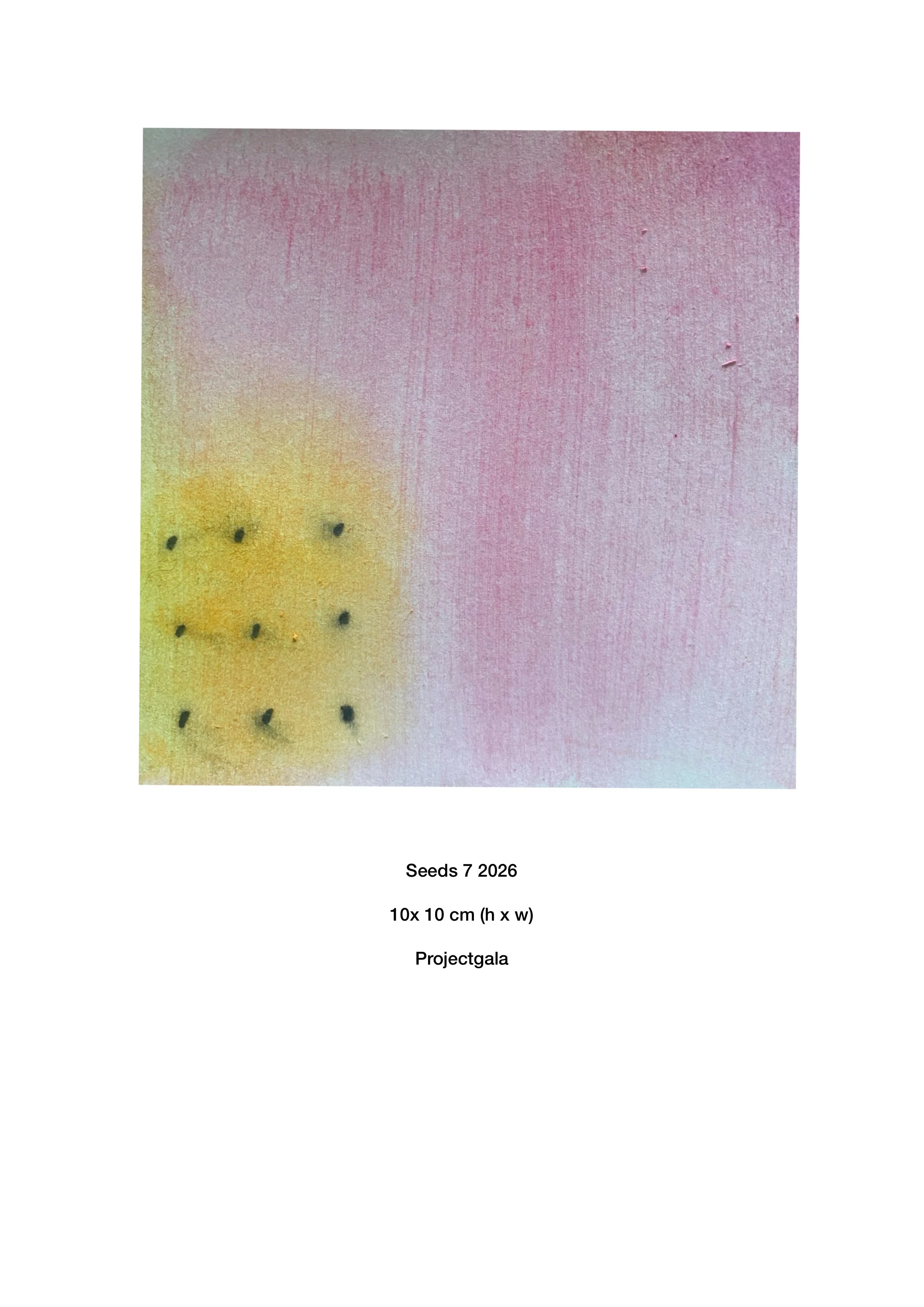 Seeds_7.jpg