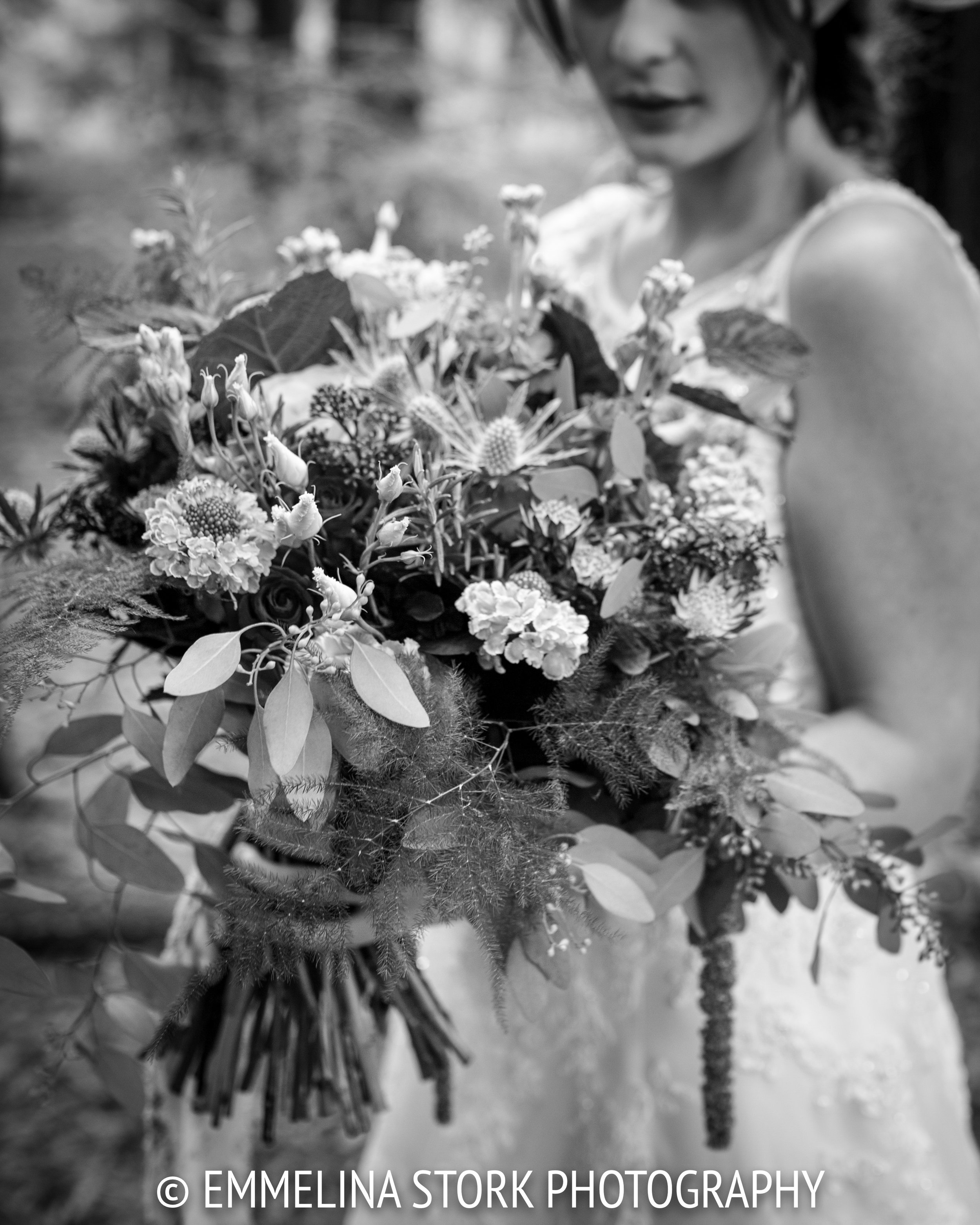 134A8443-2.jpg