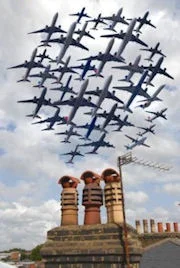 Flock.jpg