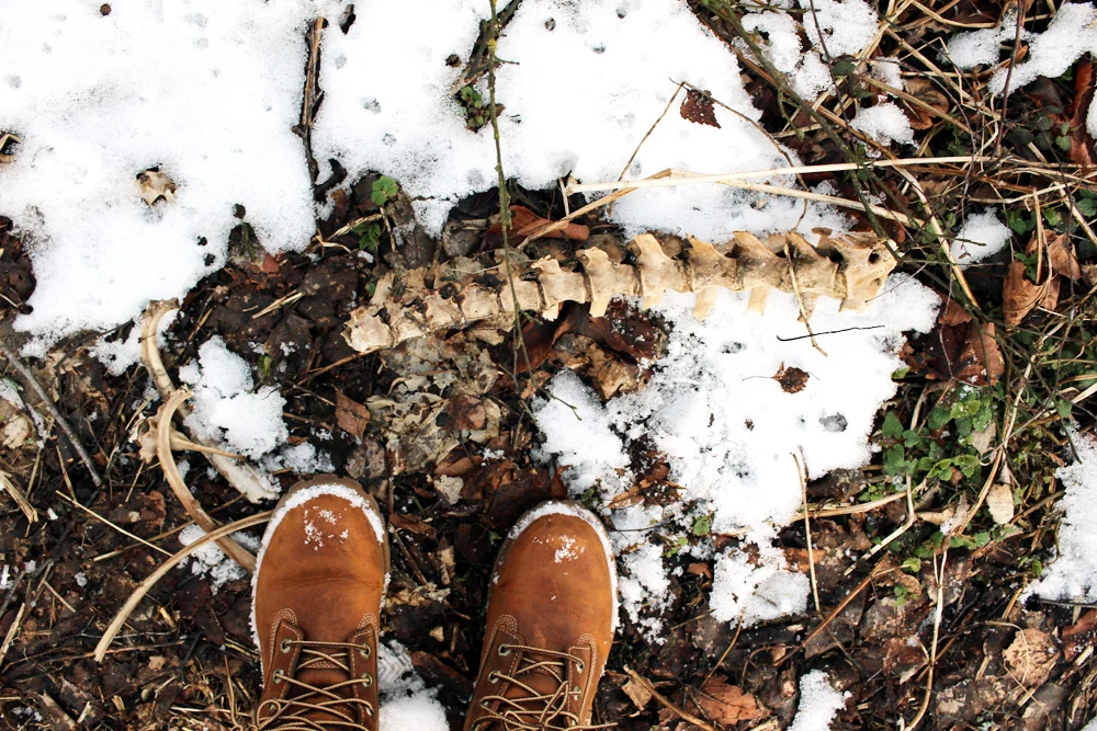 Live authentic.