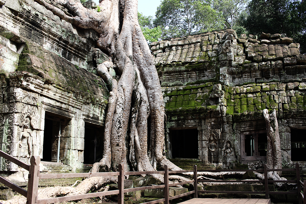 Ta Prohm.