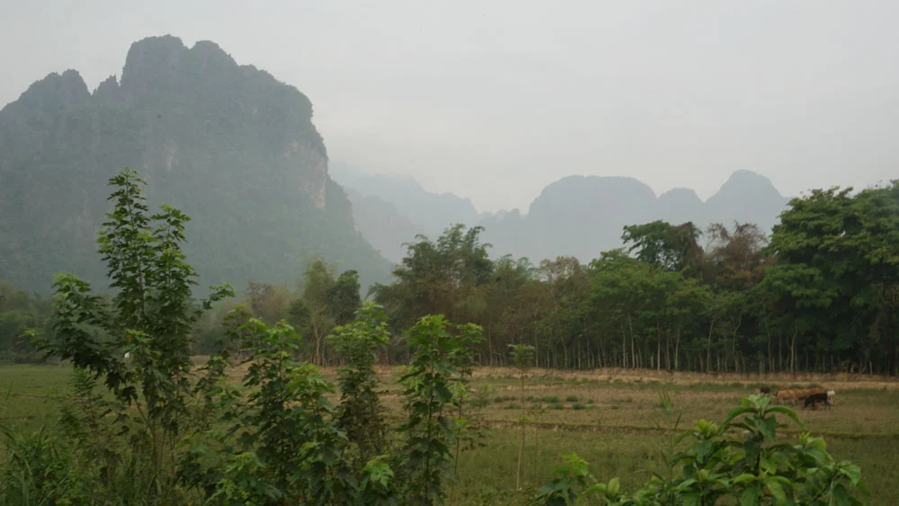 The view of the gorgeous mountains from my guest house