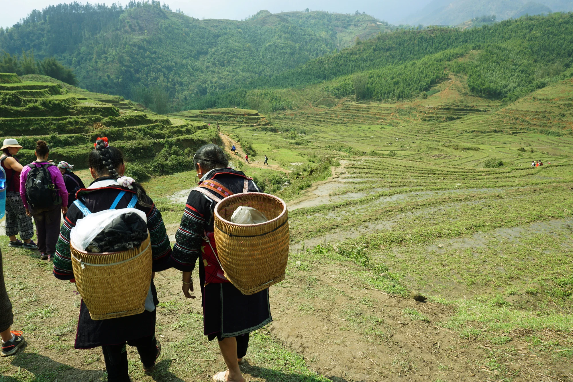Hiking with Hmong women through rice fields, Sapa