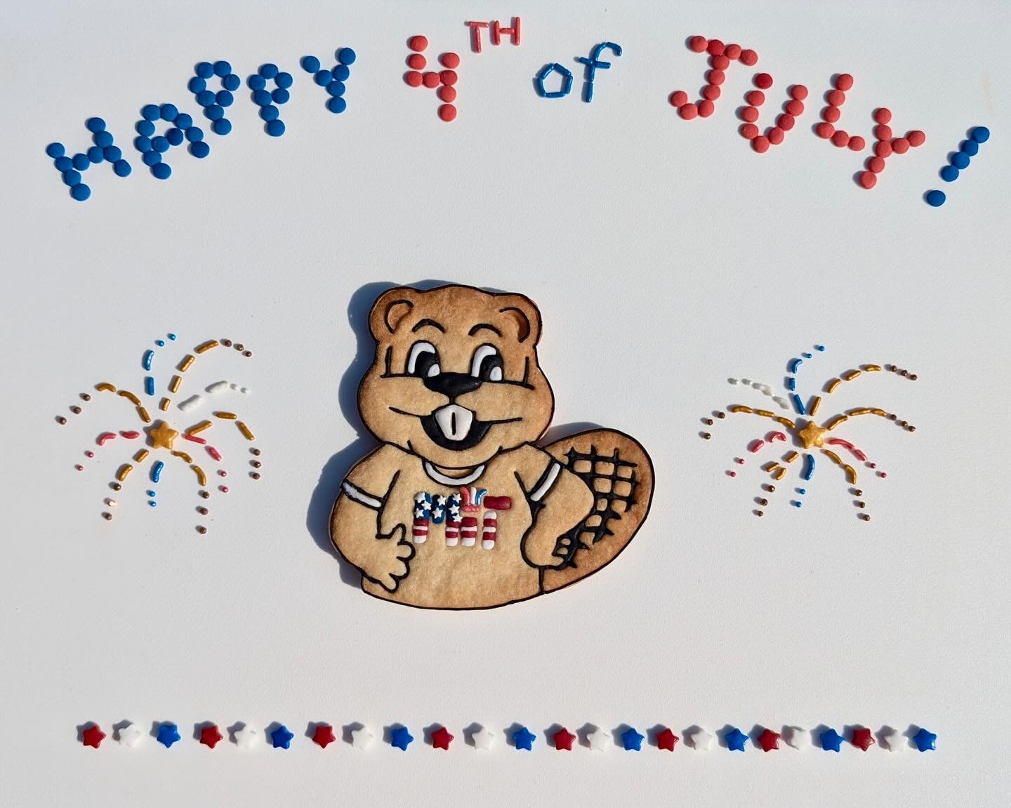 Wishing you lots of sparkle and fun!  Happy Independence Day!

#timthebeavercookies #fourthofjulycookies #sprinkles