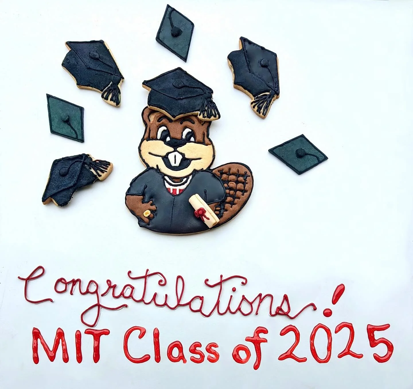 Congrats to the freshly baked MIT graduates of 2025! 🎓🍪

#mit2025 #mitcommencement #timthebeaver #graduationcookies #timthebeavercookies #royalicingcookies