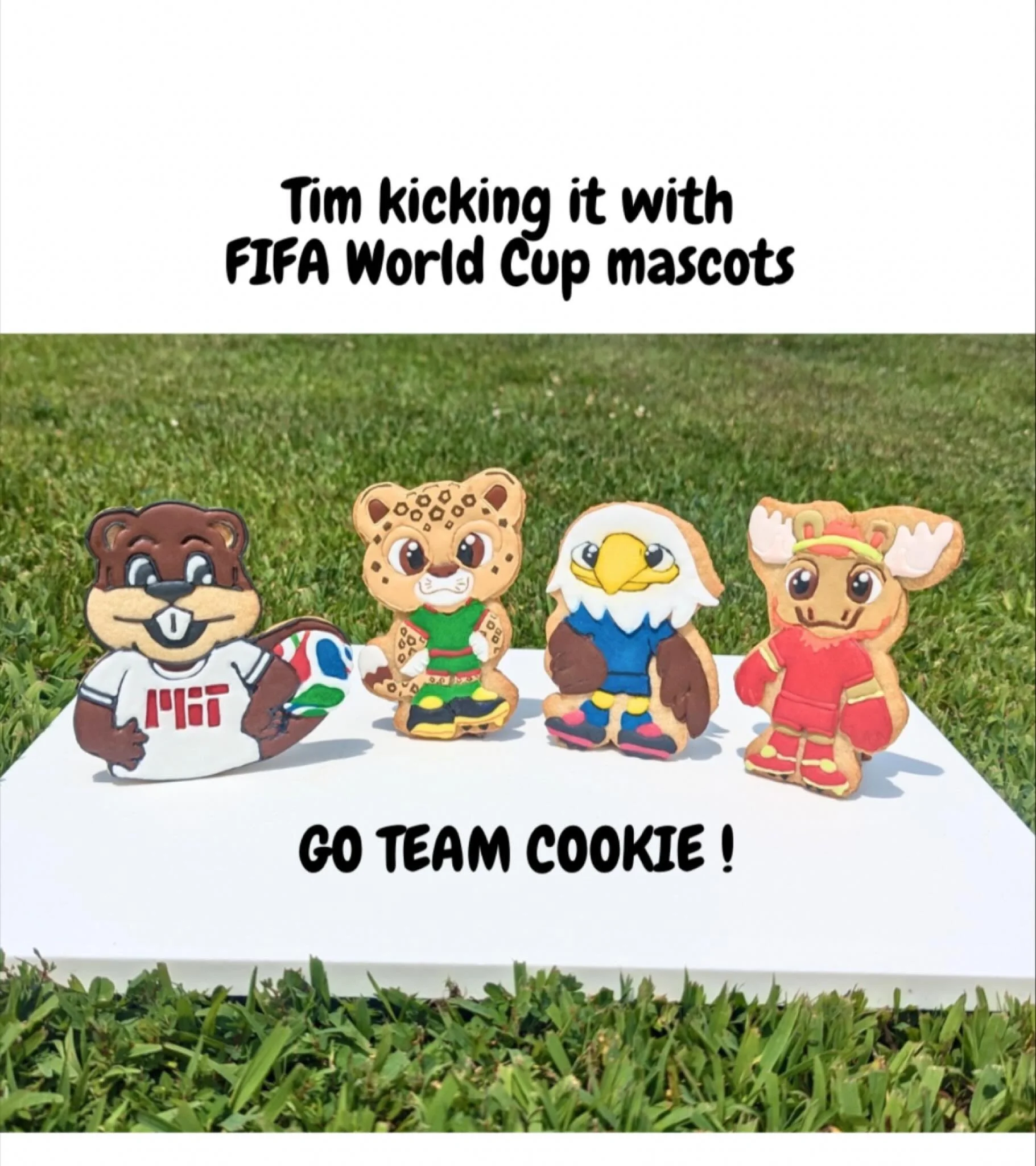 @fifaworldcup #worldcup #worldcupmascot #timthebeavercookies #timthebeaver #royalicingcookies