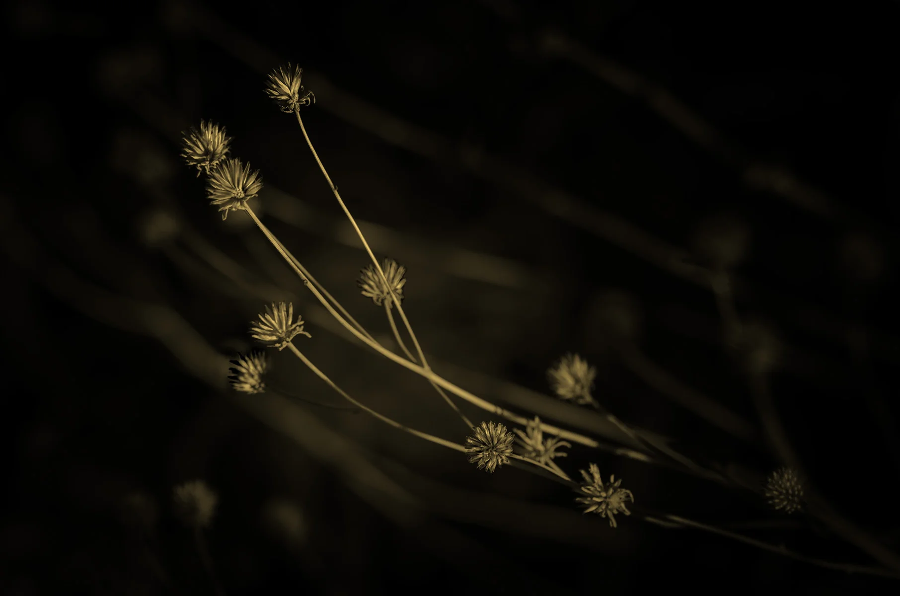 All Art Arizona 2018