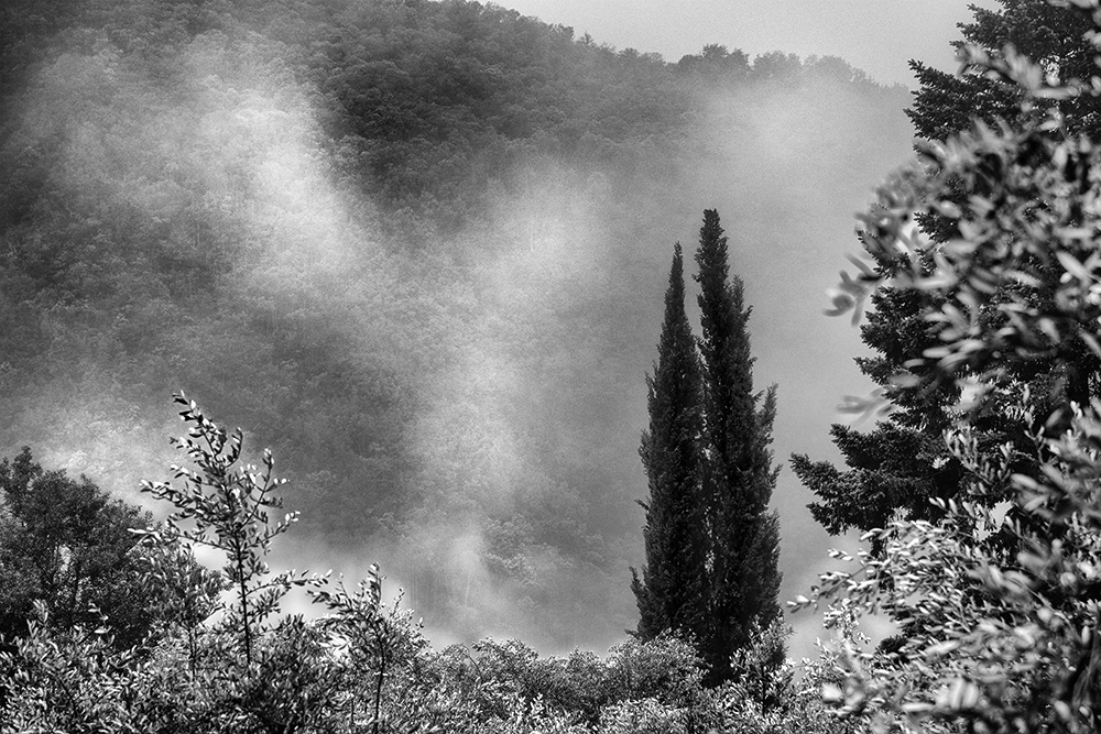 Fog.jpg