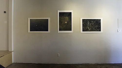 West Wall - Lower Level