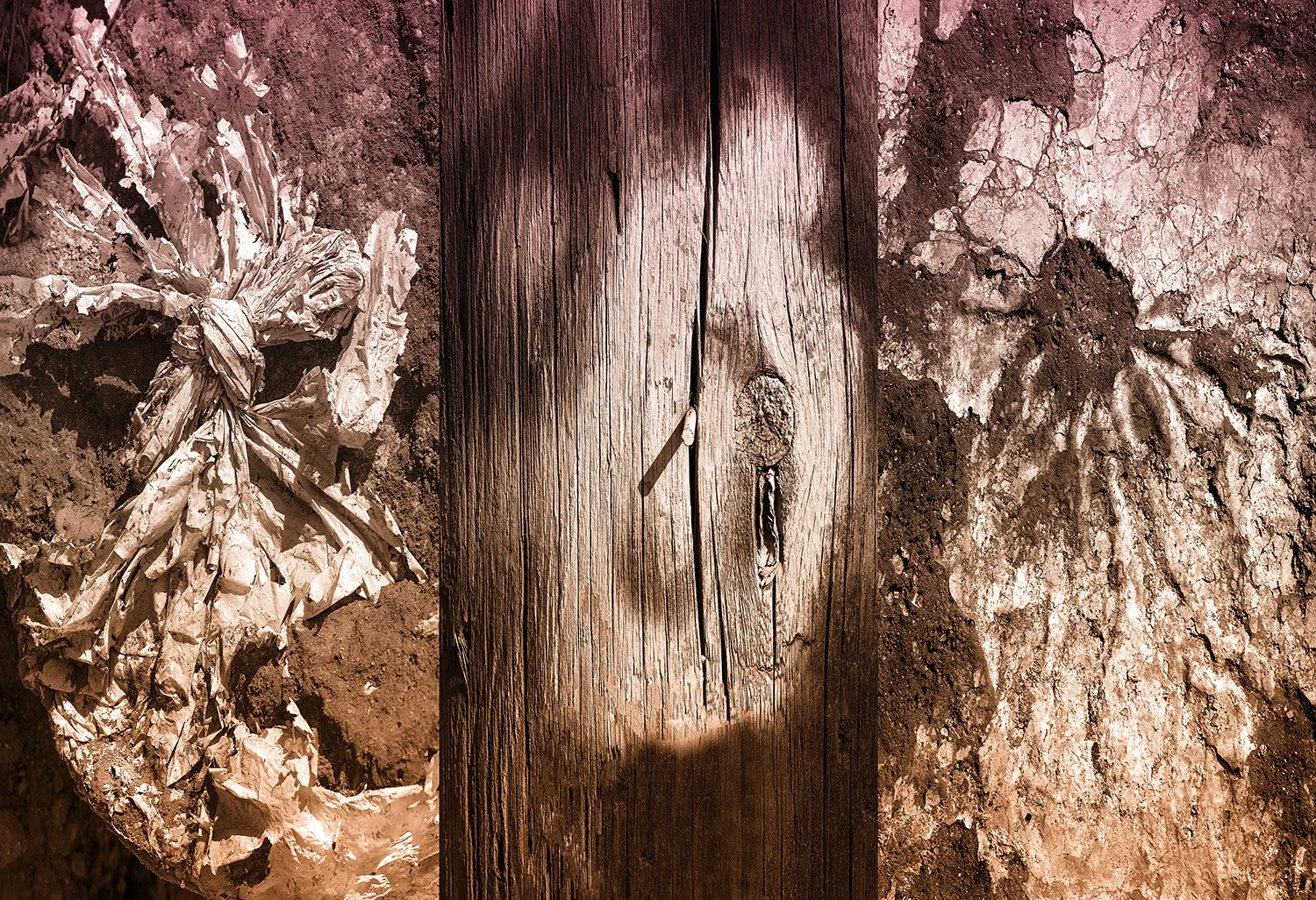 Triptych2_bicolor copy2.jpg