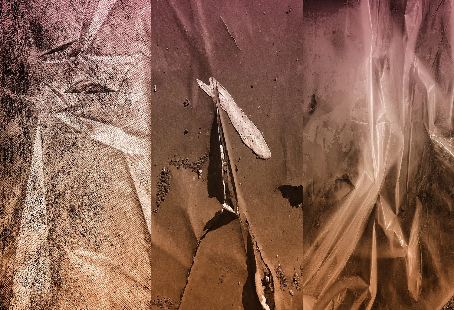 Triptych7_13x19 copy2.jpg