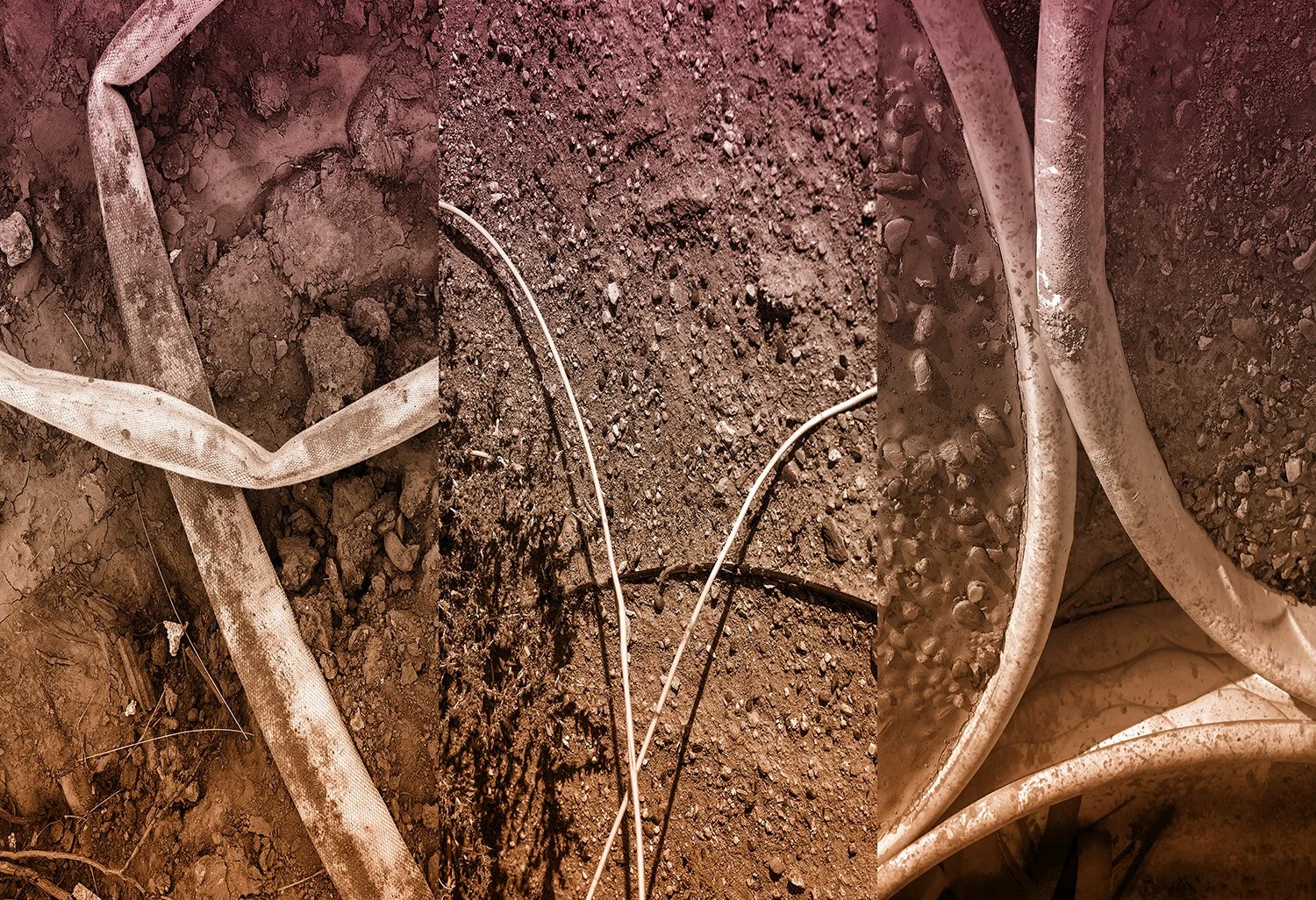 Triptych9_13x19 copy2.jpg