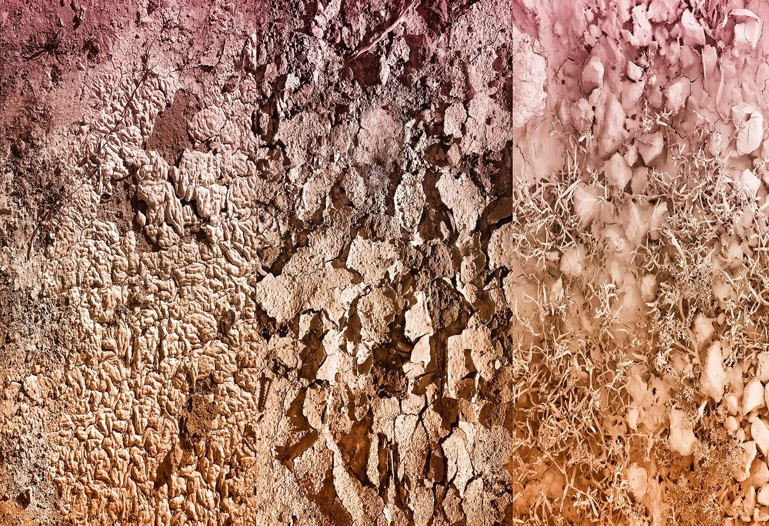 Triptych12_13x19 copy2.jpg