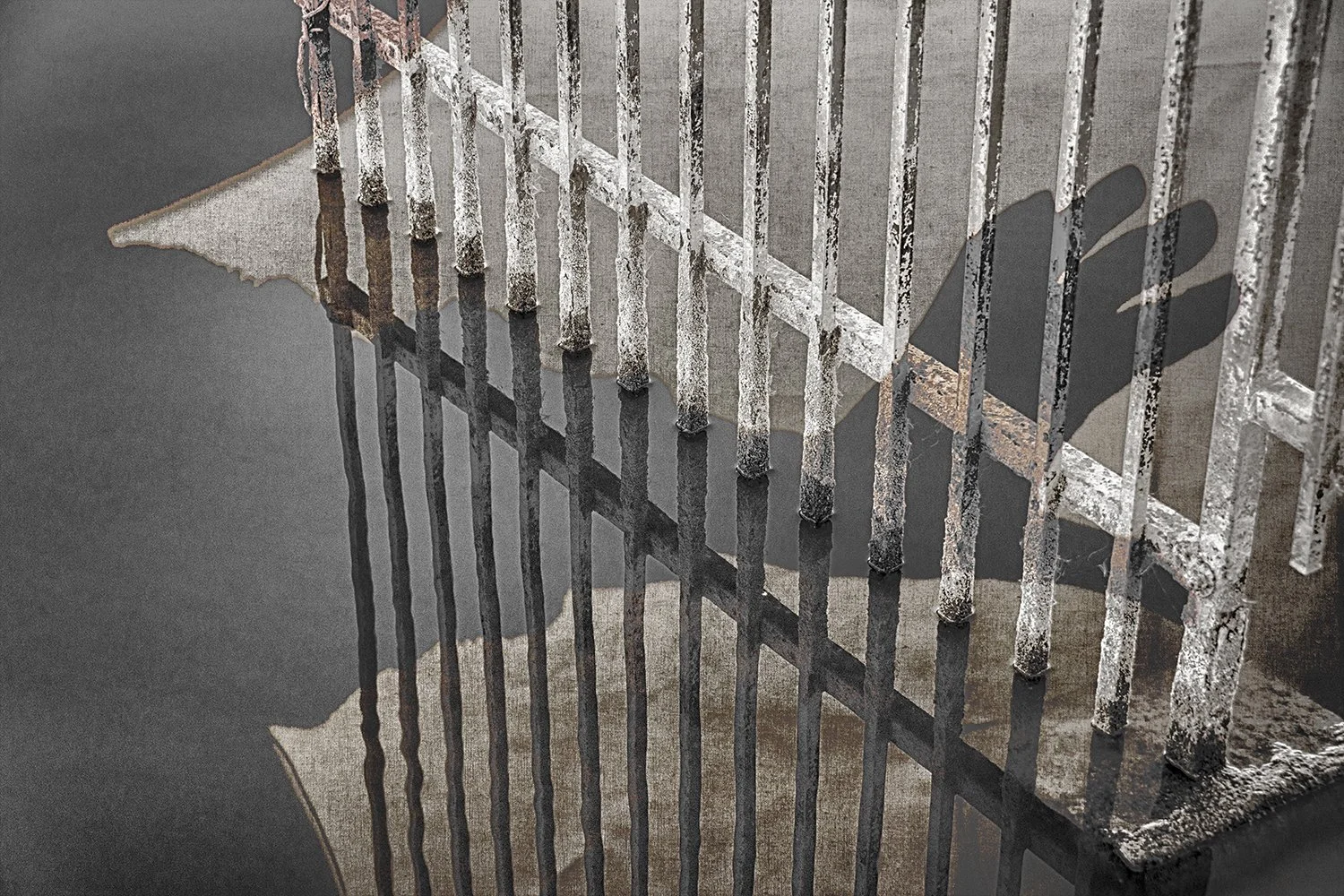 FenceHandShadow_copy copy.jpg