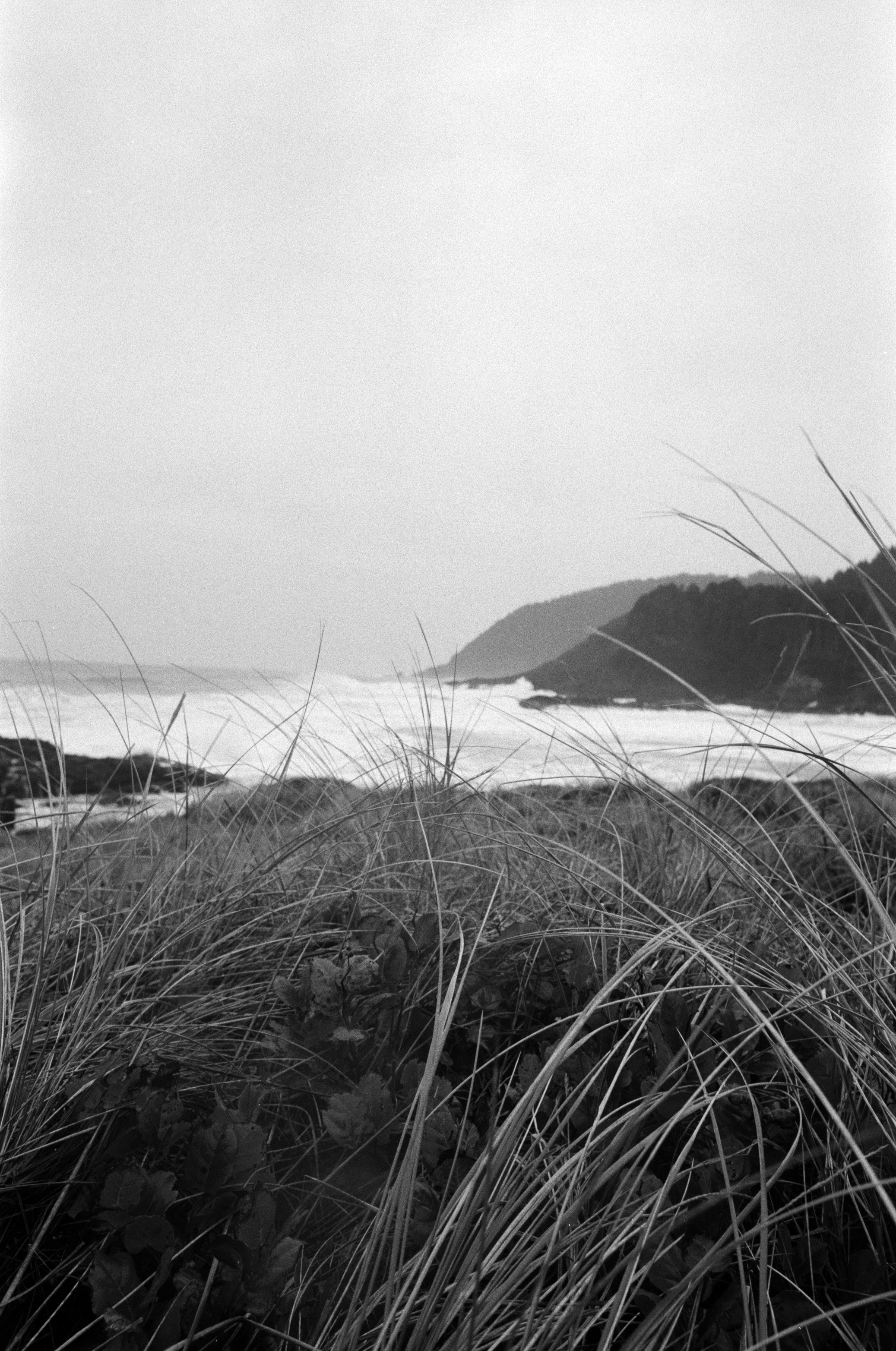 Ilford_Roll01_PNW_2019_002.jpg