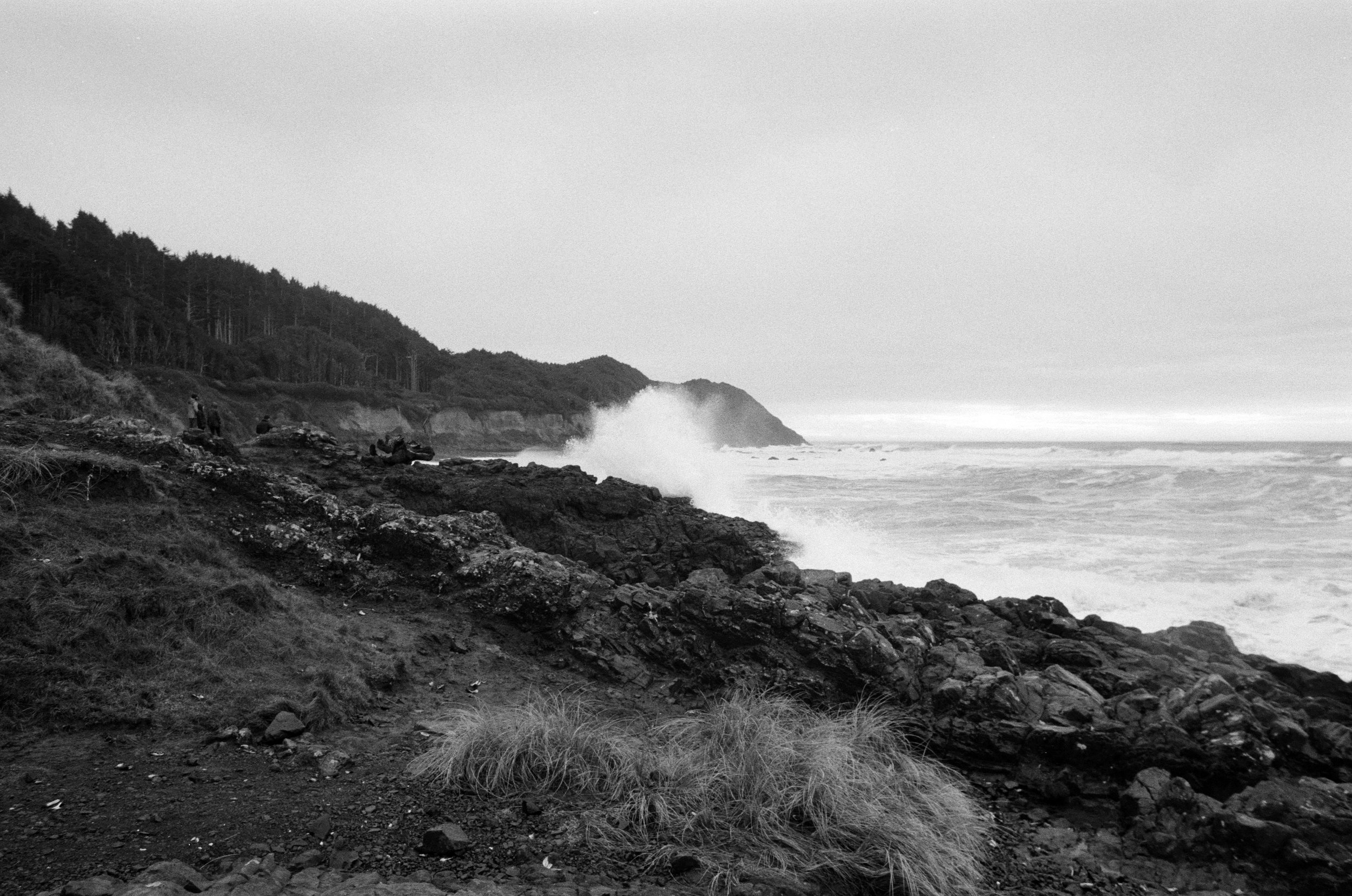 Ilford_Roll01_PNW_2019_008.jpg