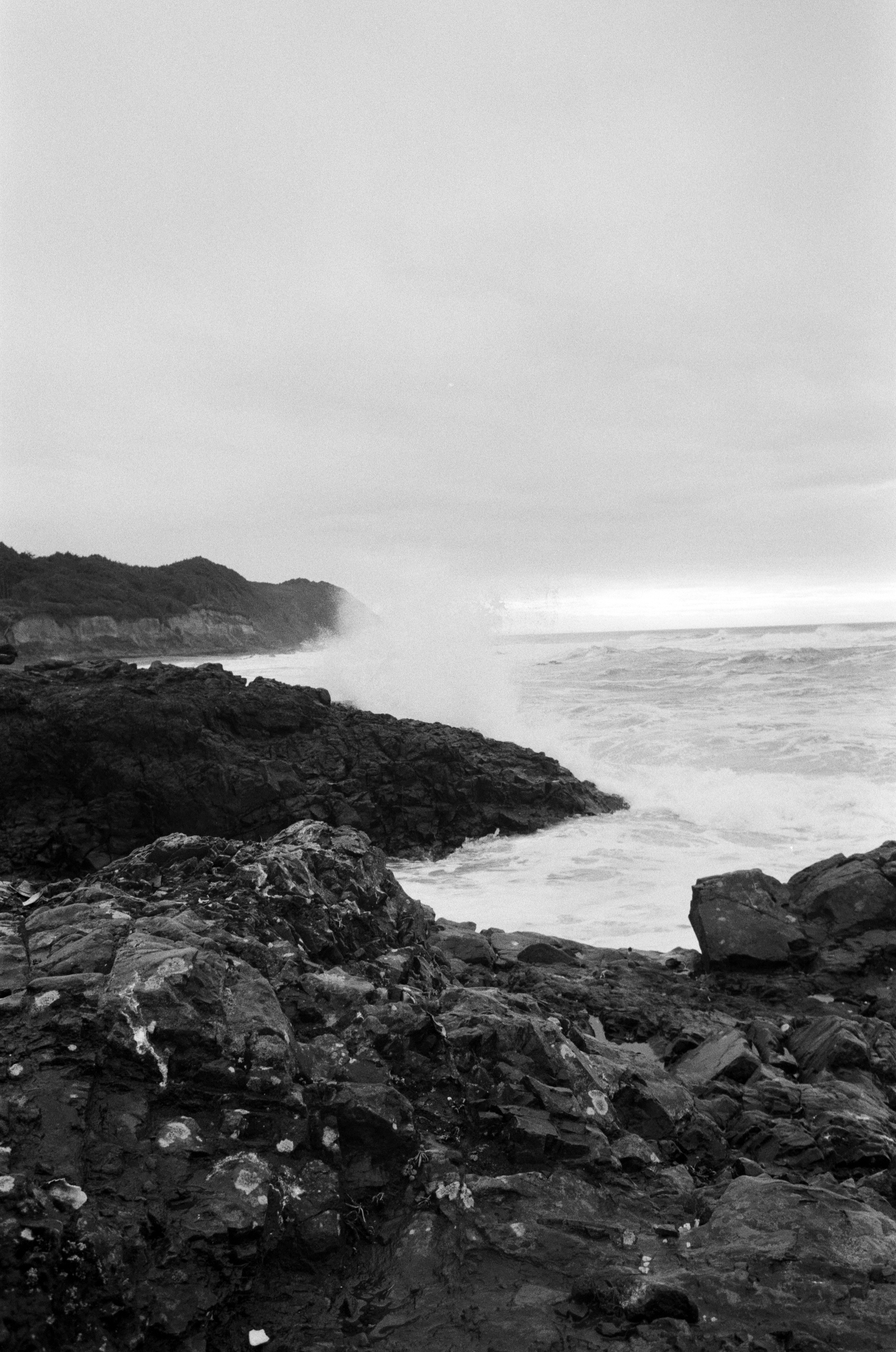 Ilford_Roll01_PNW_2019_011.jpg