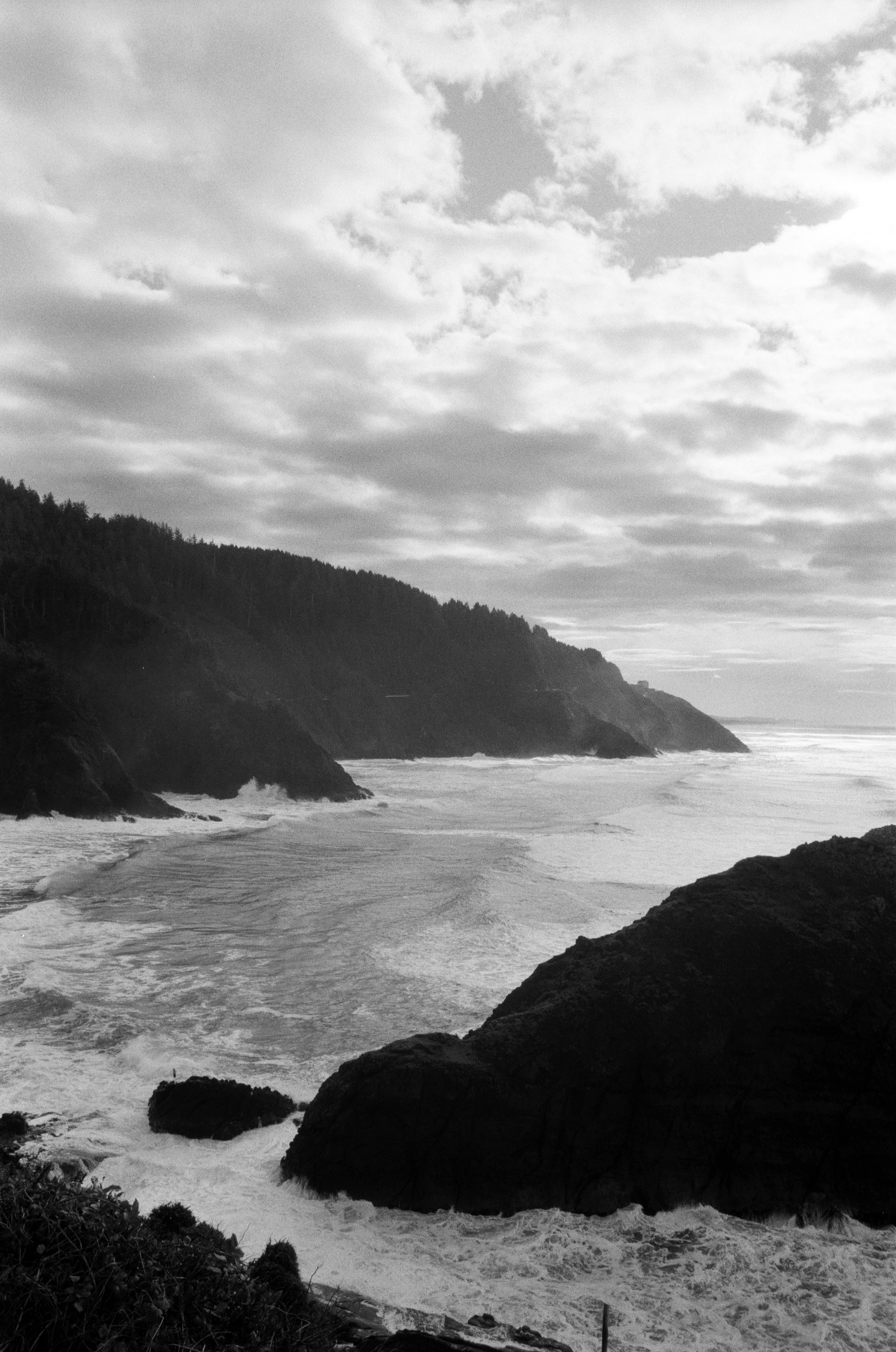 Ilford_Roll01_PNW_2019_013.jpg