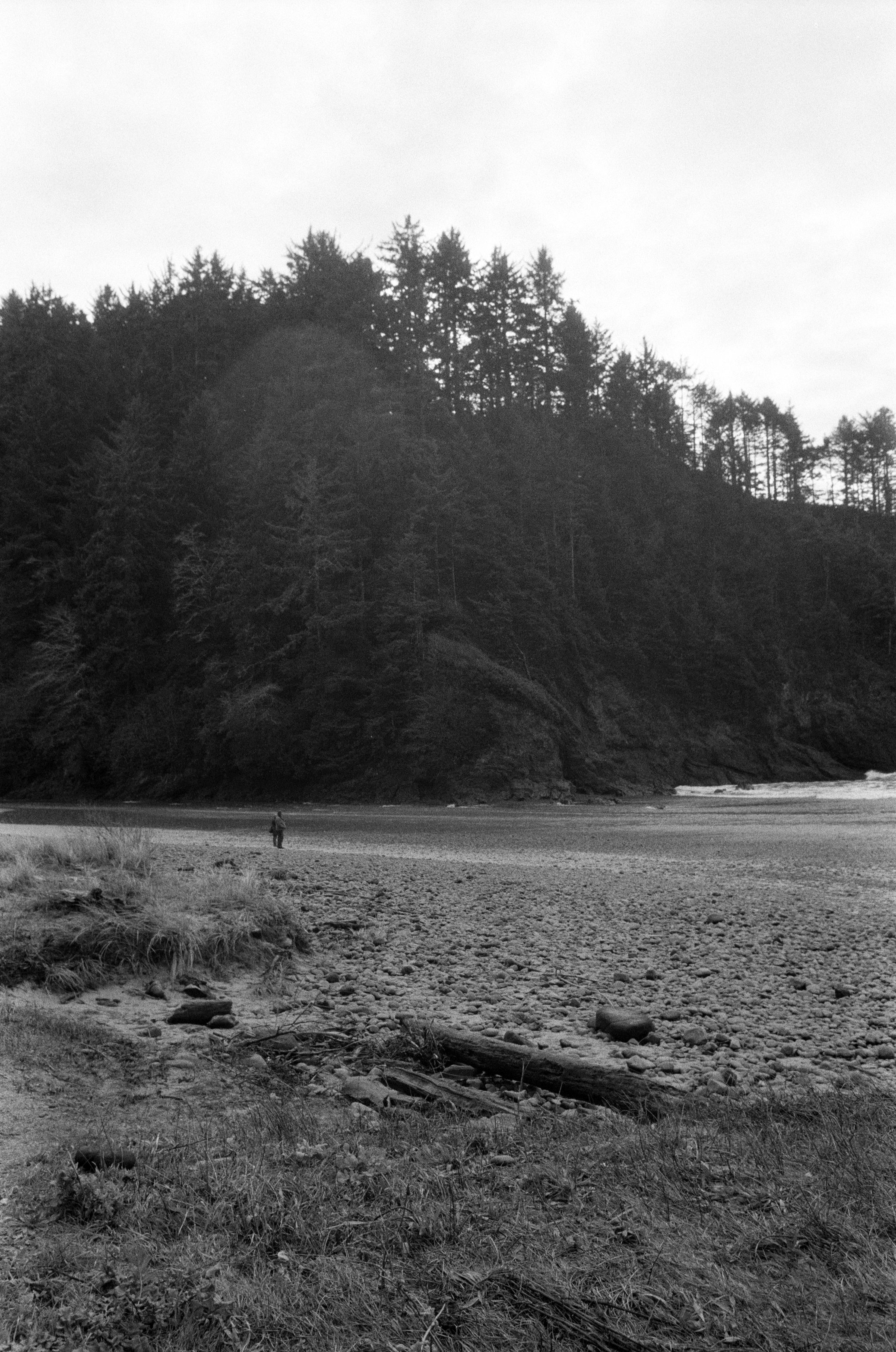 Ilford_Roll01_PNW_2019_020.jpg